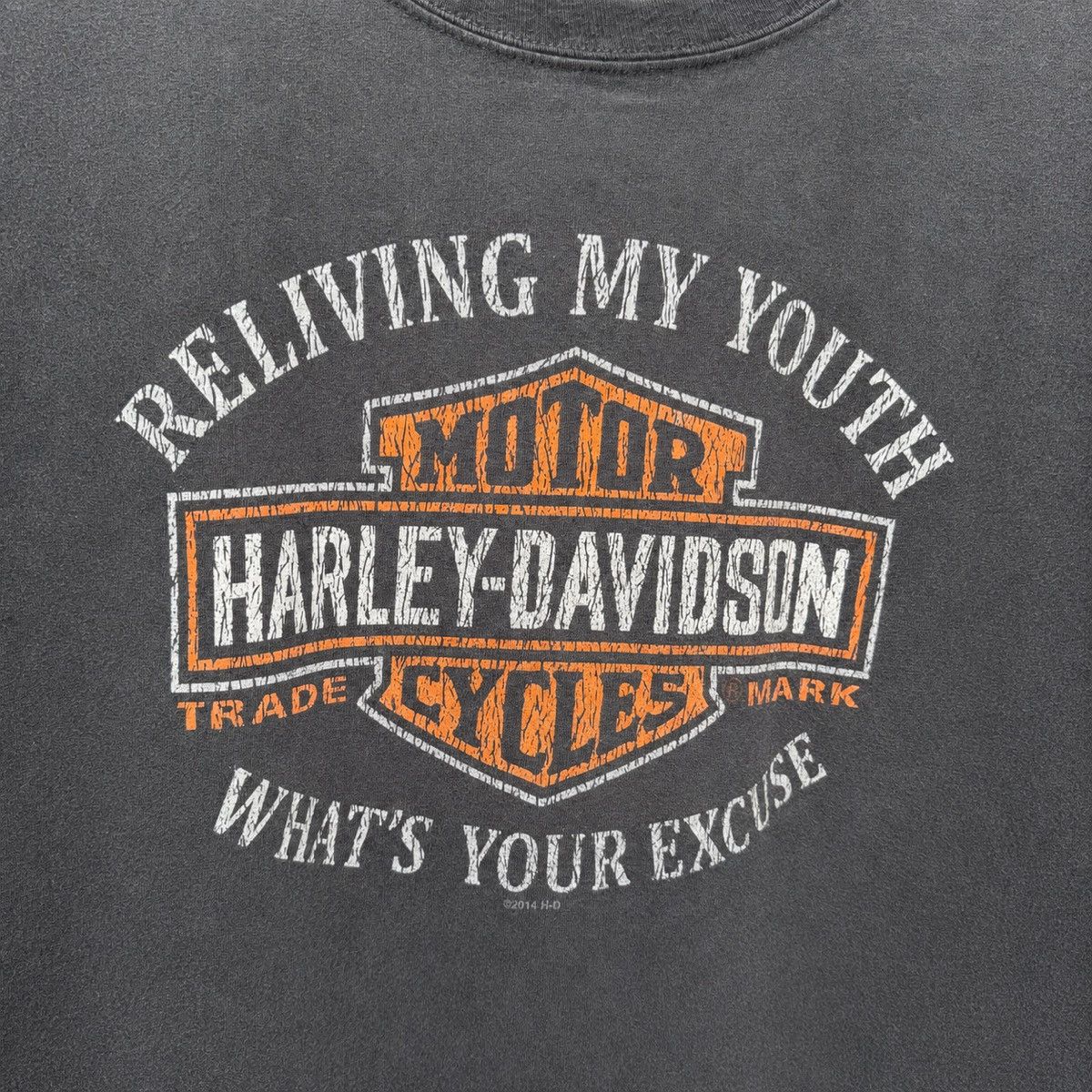 Vintage Harley-Davidson “Reliving My Youth” 2014 Graphic T-Shirt Size US XL / EU 56 / 4 - 4 Thumbnail