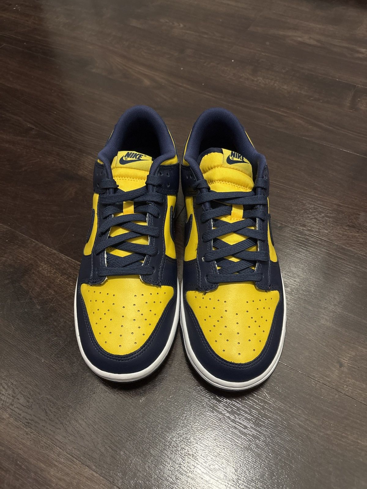 Nike Michigan Dunk Lows Size US 8.5 / EU 41-42 - 1 Thumbnail