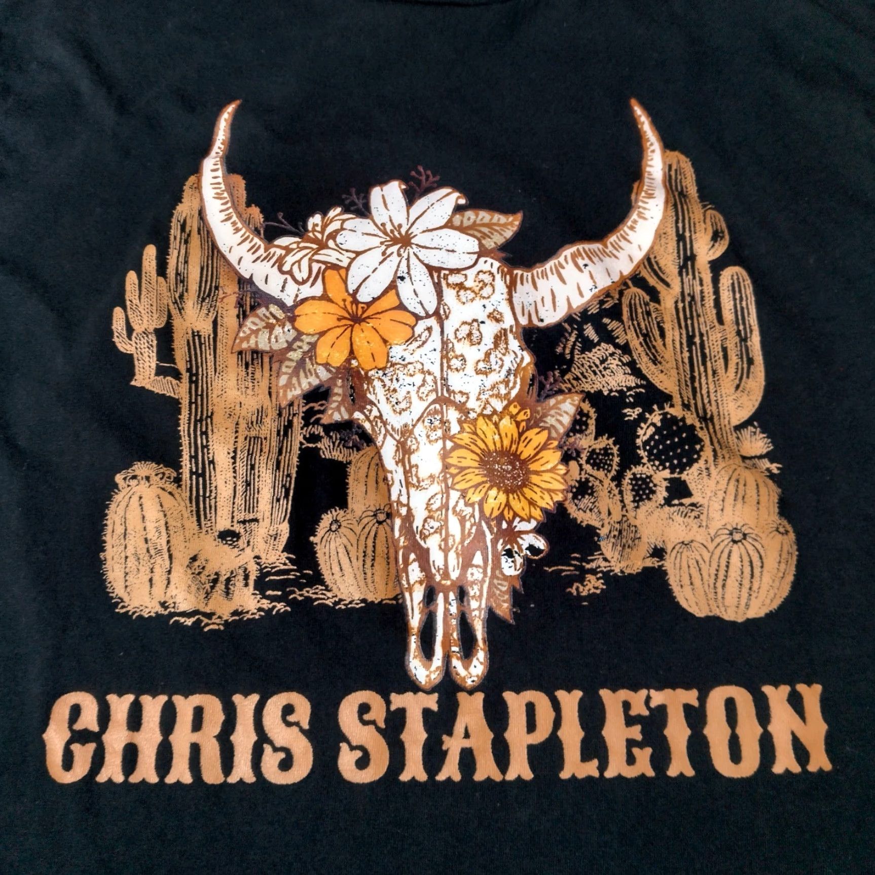 Gildan Chris Stapleton Tour Shirt L All American Road Show Black Desert Skull Cactus Shirt Men Size US L / EU 52-54 / 3 - 2 Thumbnail