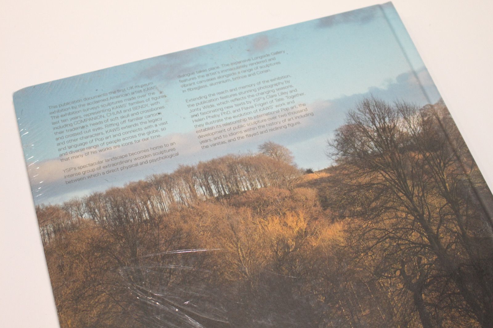 Kaws Kaws Yorkshire Sculpture Park YSP Catalogue Hardcover Book Size ONE SIZE - 8 Thumbnail