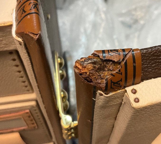 Louis Vuitton Louis Vuitton Wardrobe Monogram Checkroom Shoe Secretaries Size ONE SIZE - 16 Thumbnail