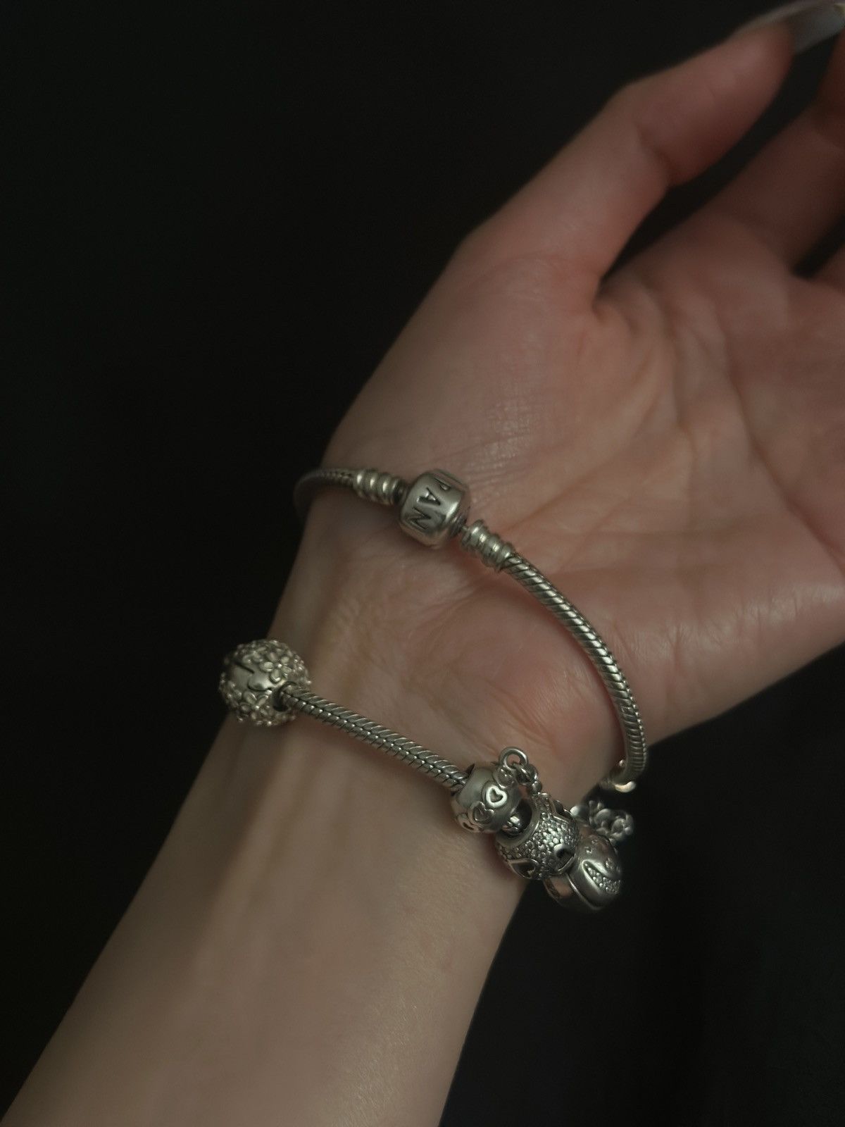 pandora Pandora Charm Bracelet Set – 925 Silver Size ONE SIZE - 6 Thumbnail