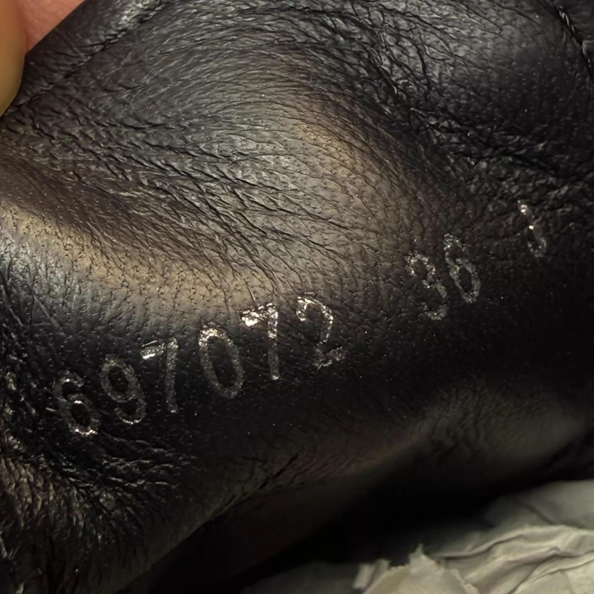 Alexander McQueen Alexander McQueen black/white canvas Martin boots 36 99 Size US 5.5 / IT 35.5 - 8 Thumbnail