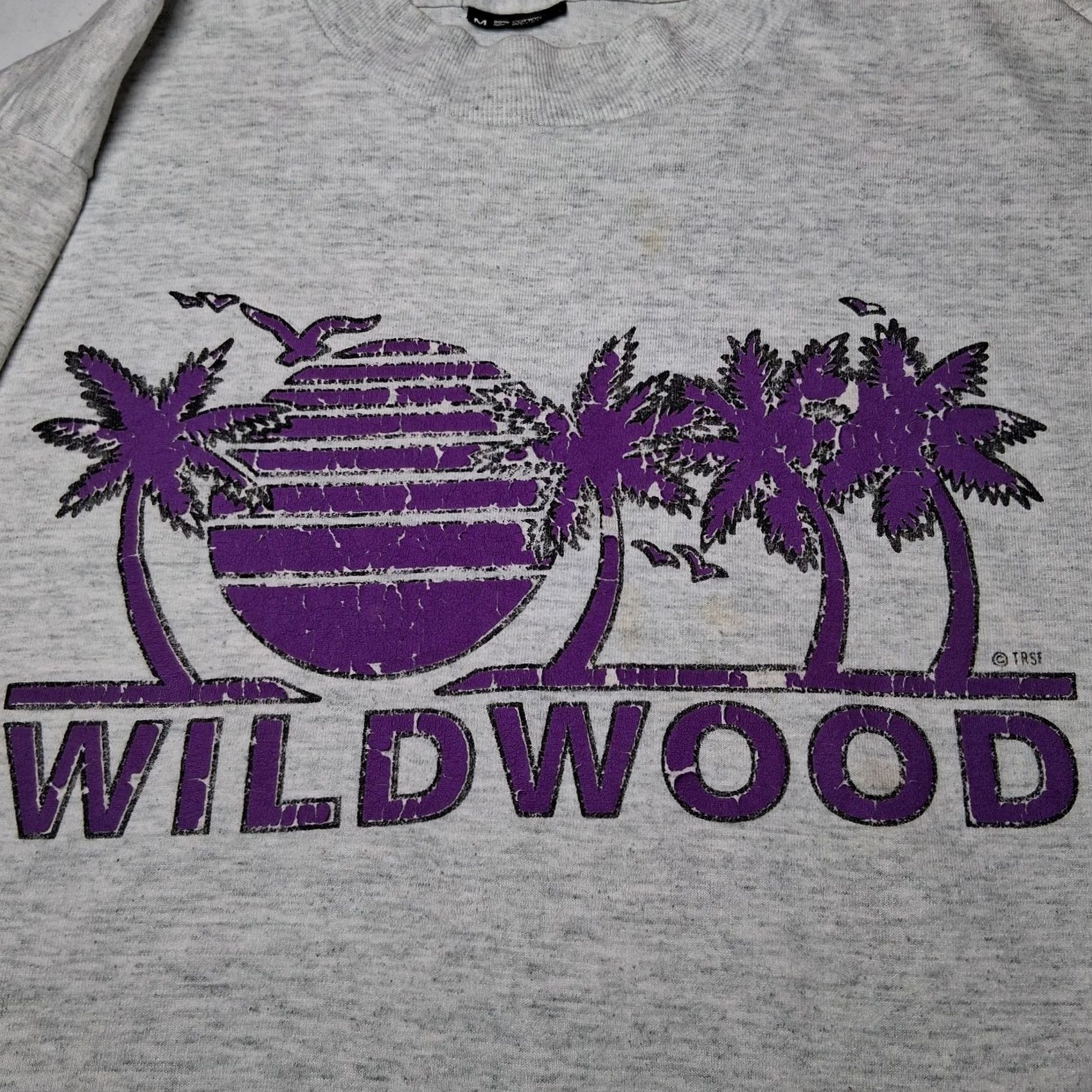 Vintage Final Answer: Vintage Wildwood Beach NJ Shirt M Single Stitch Distressed NJ Size US M / EU 48-50 / 2 - 2 Thumbnail