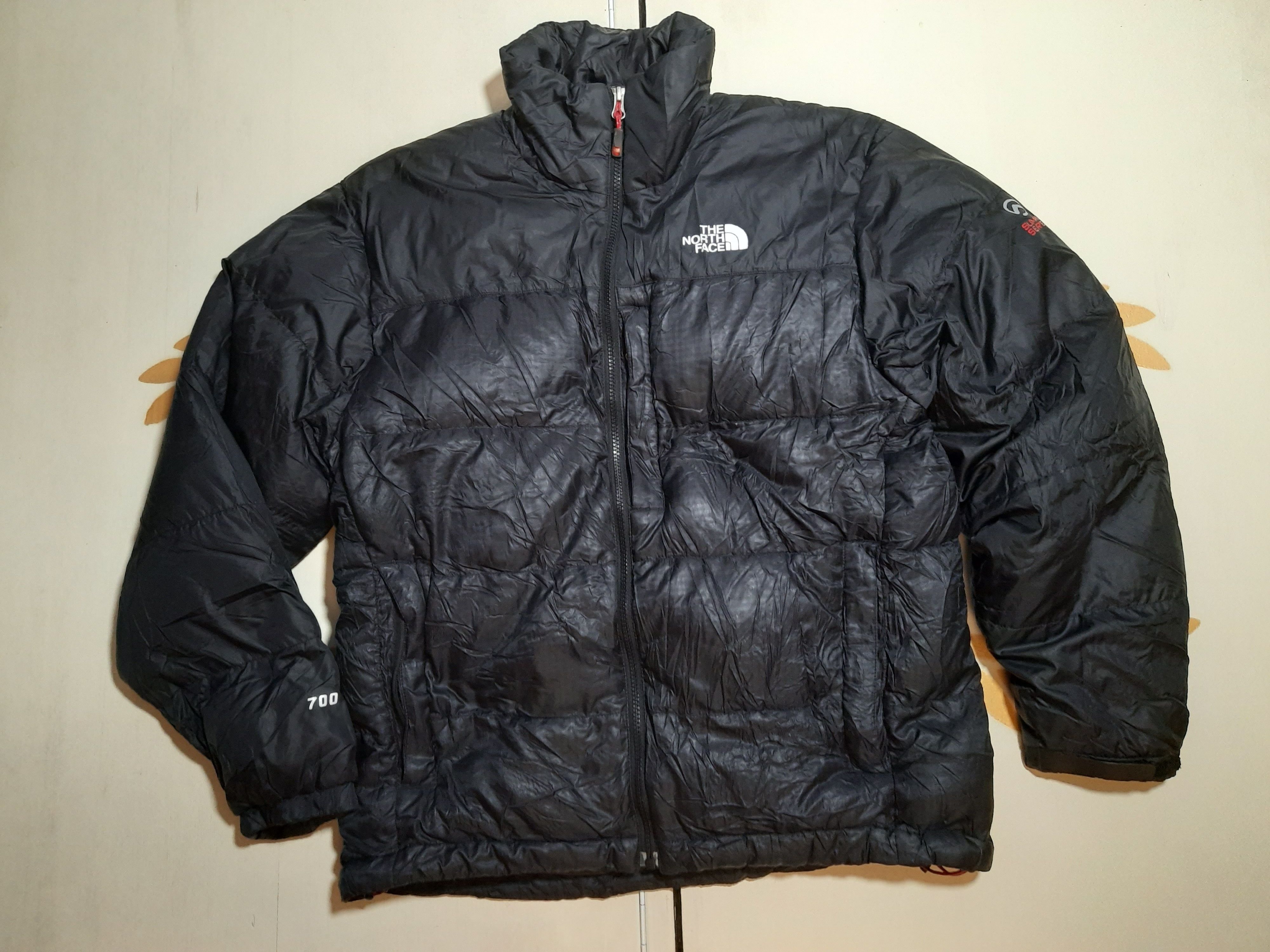 North face summit series 700 down jacket review best sale