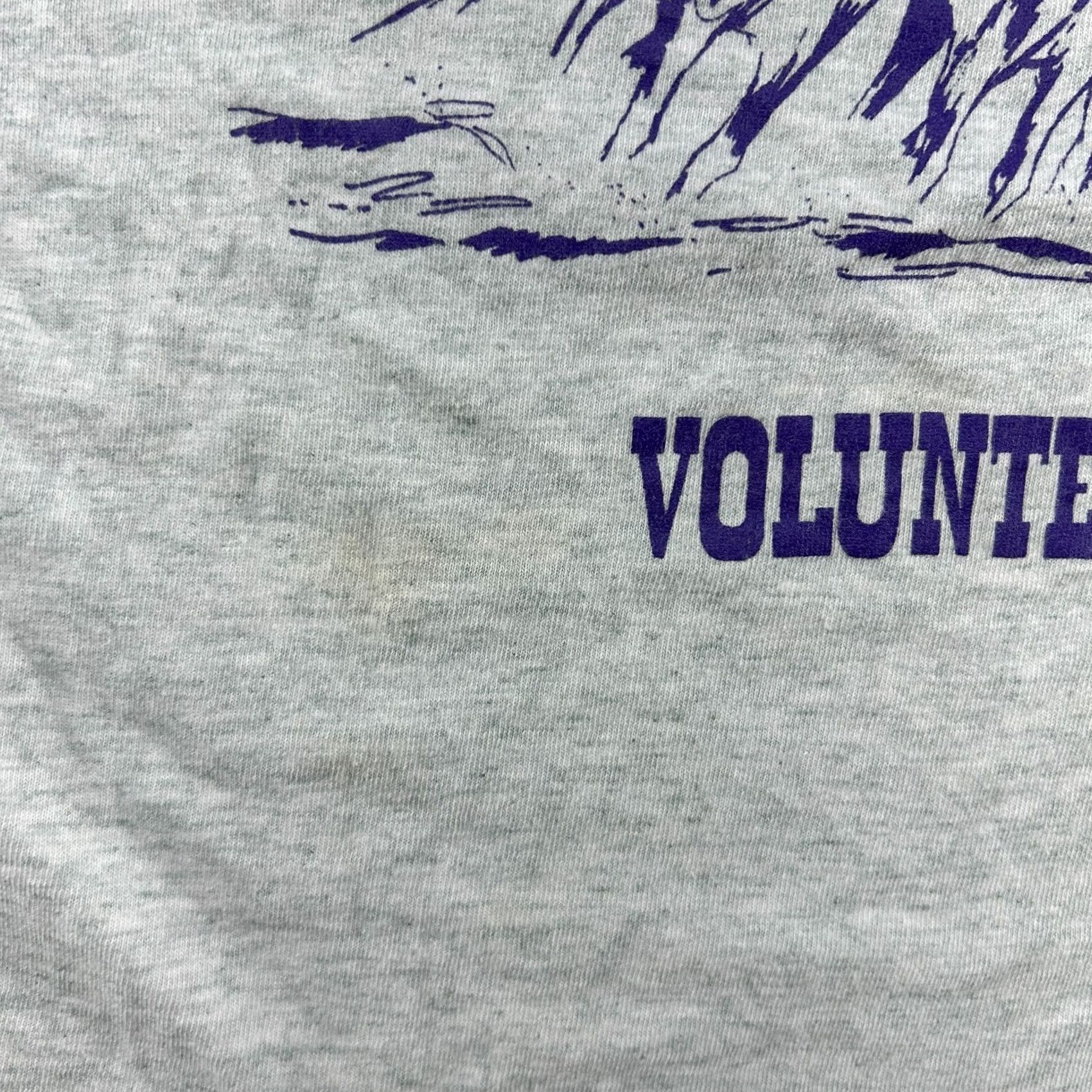 Fruit Of The Loom VINTAGE Fruit of the Loom Shirt Mens L Grey 1990s Horse Band Classic Logo Crew Neck Short Sleeve Size US L / EU 52-54 / 3 - 2 Thumbnail