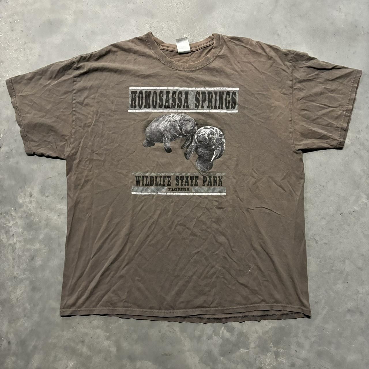 Vintage Crazy Vintage Y2K/2000s Sunfaded Brown Manatee Nature Animal Graphic Tee! Size US XXL / EU 58 / 5 - 1 Thumbnail