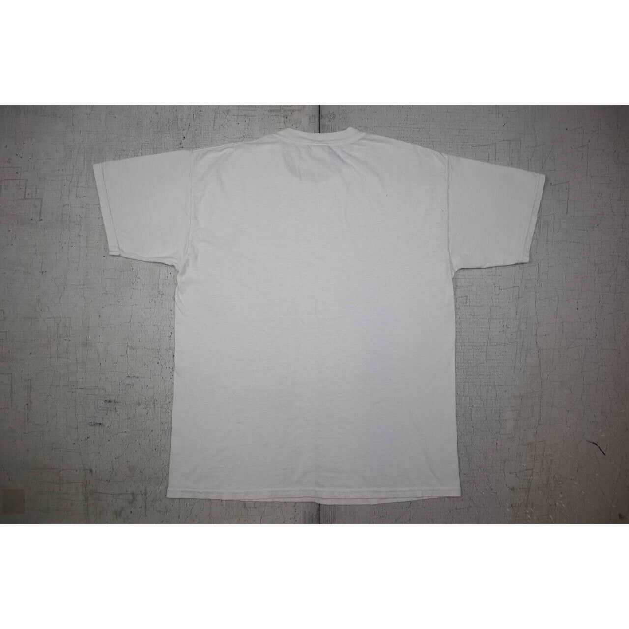 Gildan Vintage Danny Phantom & The Fairly Odd Parents 2005 T Shirt Size US L / EU 52-54 / 3 - 7 Thumbnail