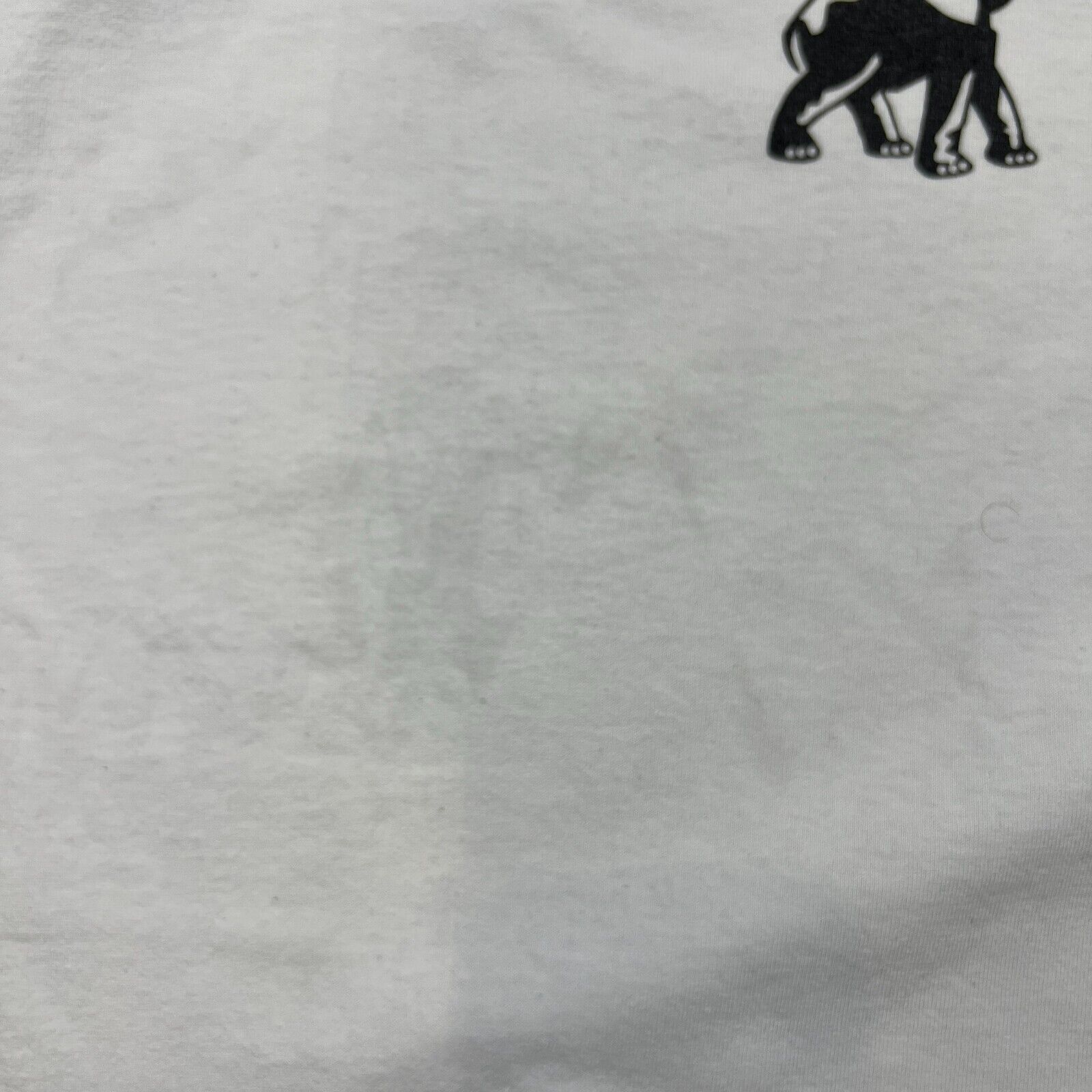 Brooklyn Mint × Rap Tees × Vintage VTG 2005 Notorious BIG T Shirt Large Biggie Forever Rap Tee Size US L / EU 52-54 / 3 - 10 Thumbnail