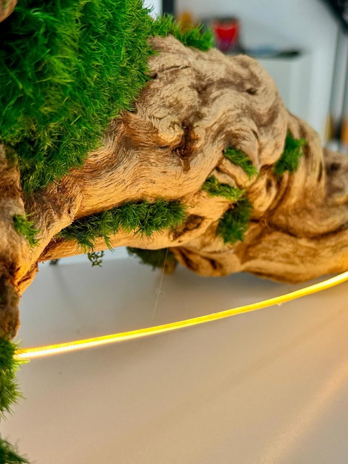 Other Organic Modern Driftwood Table Lamp Sculptural Wood Lighting Size ONE SIZE - 5 Thumbnail