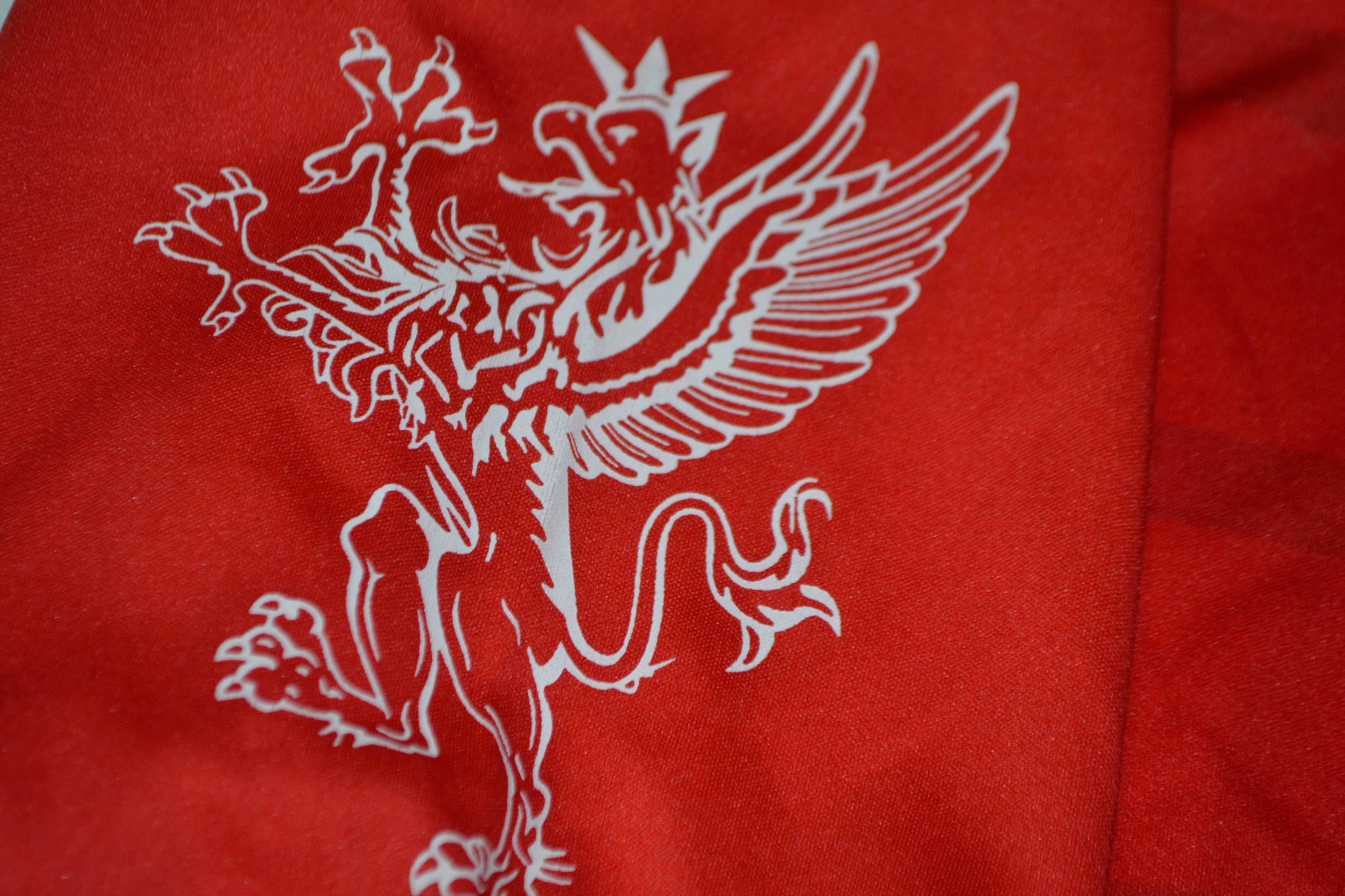 Other AC Perugia Home Shirt 2014 2015 Soccer Jersey Maglia Size US L / EU 52-54 / 3 - 11 Thumbnail