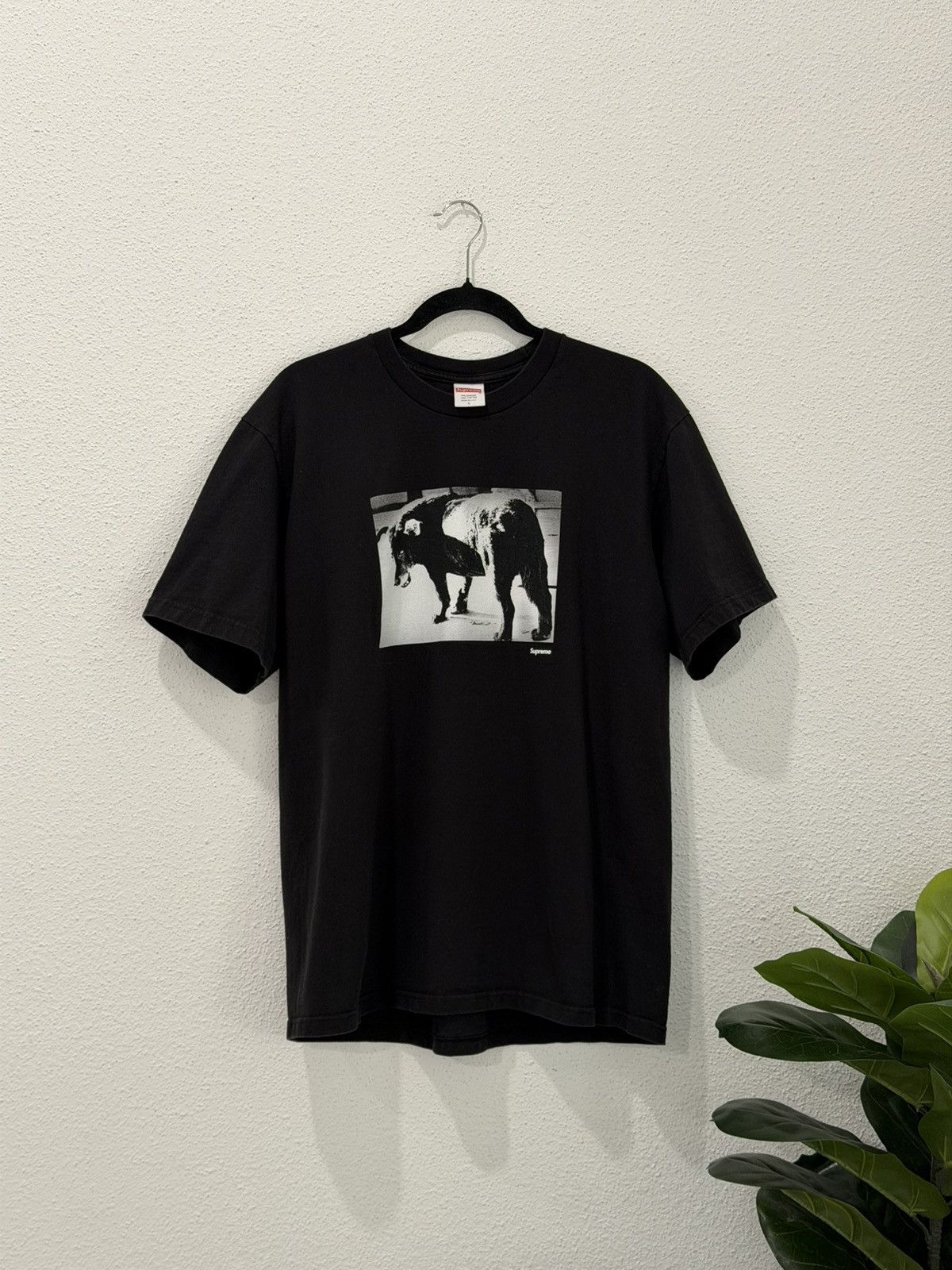 Supreme Daido Moriyama Dog Tee Cotton Black Size Large - www 