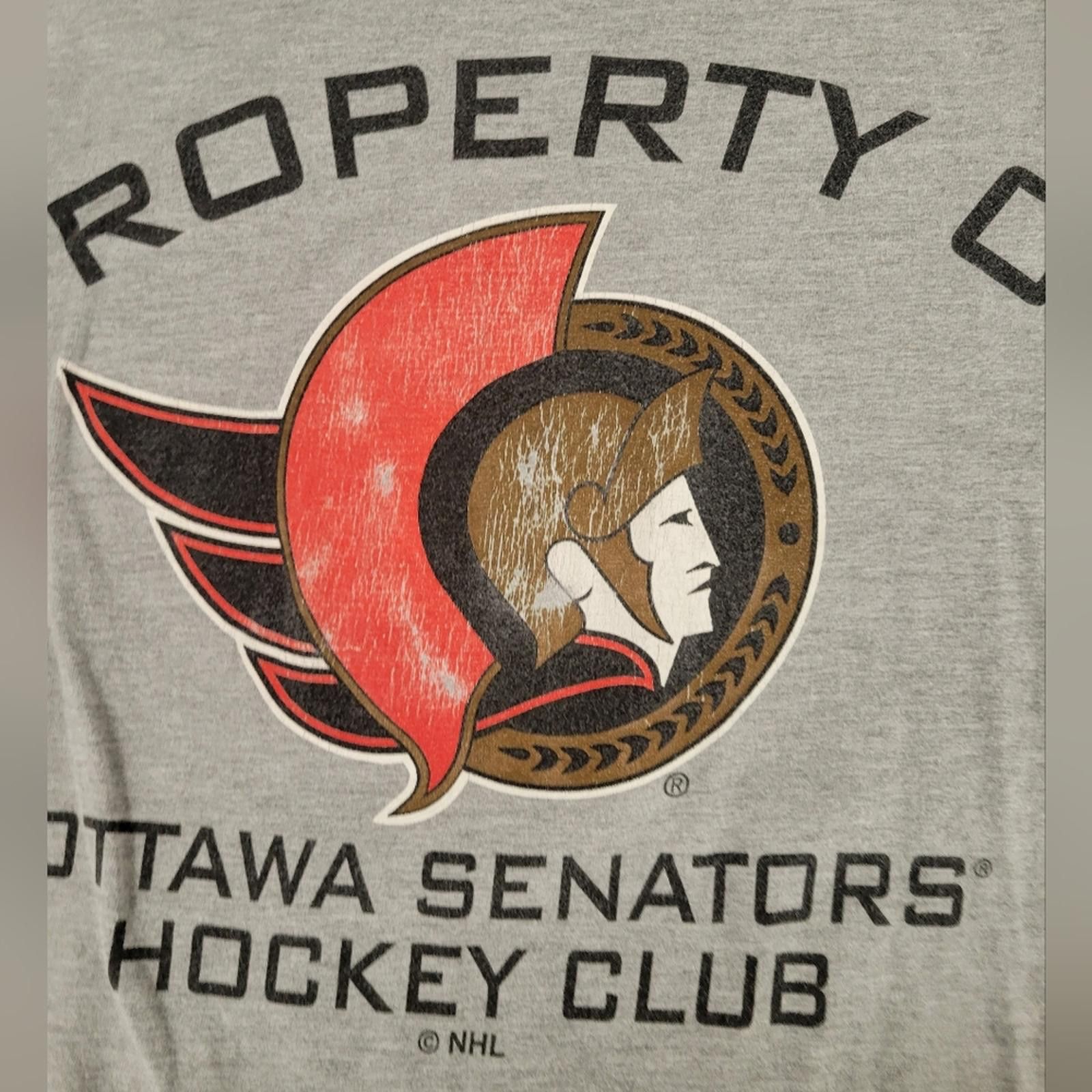 Other Vintage Ottawa Senators Hockey Club Grey Alstyle Medium tee Size US M / EU 48-50 / 2 - 2 Thumbnail