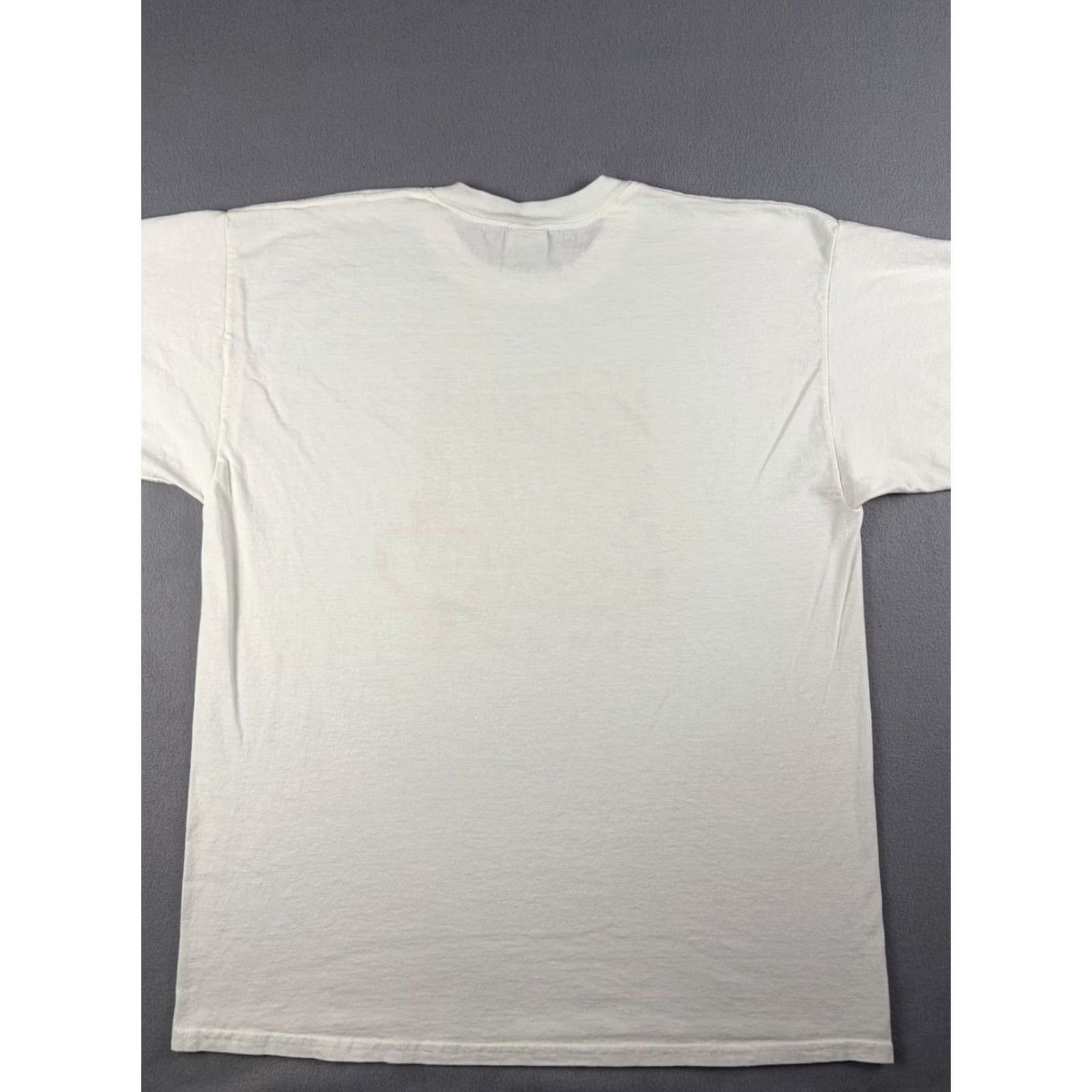 Vintage VINTAGE The Homosexuals Band Shirt Men XL White Cotton Crew Neck Short Sleeve Graphic Print T-Shirt Band Mens XL Size US XL / EU 56 / 4 - 3 Thumbnail