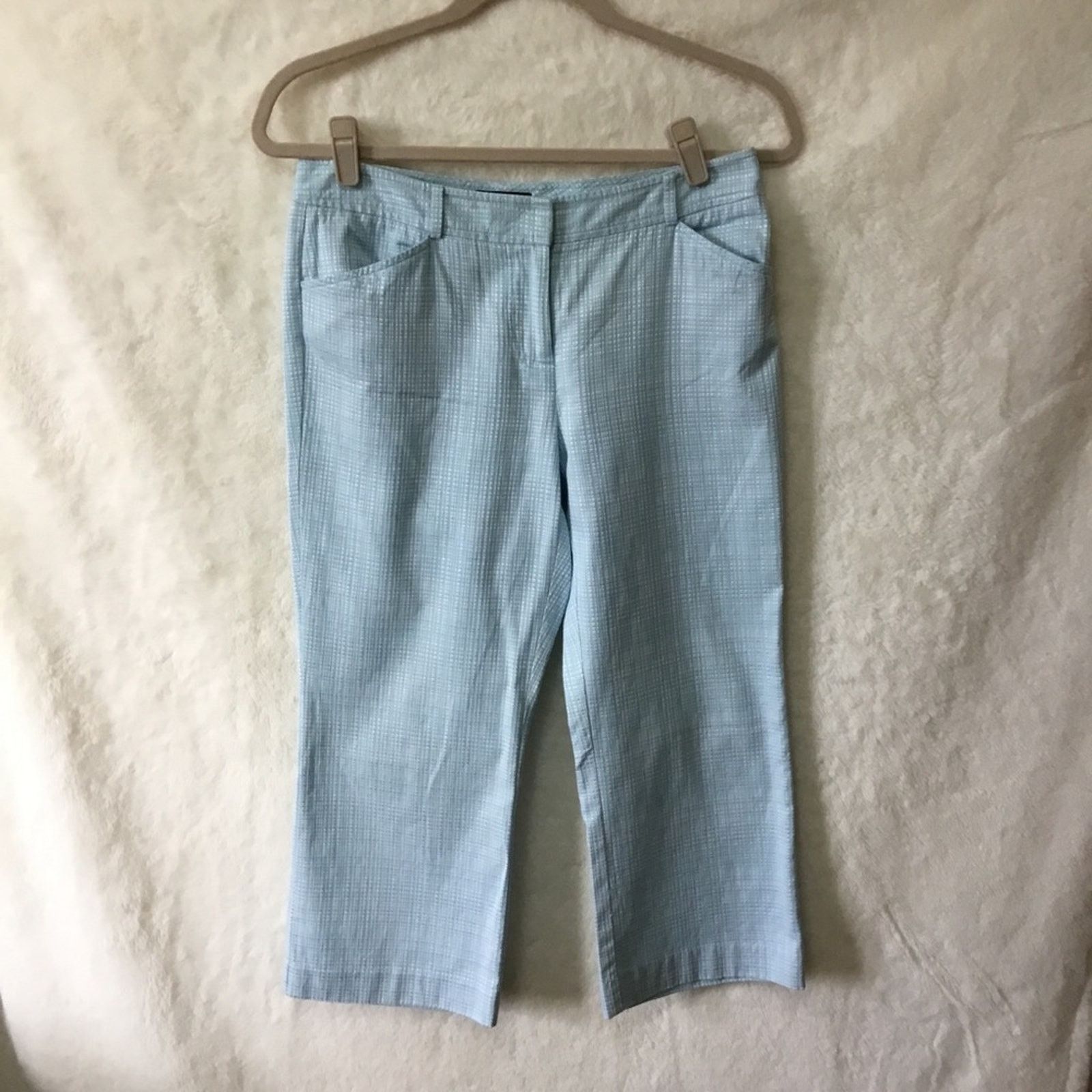 Ann Taylor Ann Taylor Blue Pattern Crop Pants Size 28" / US 6 / IT 42 - 1 Thumbnail