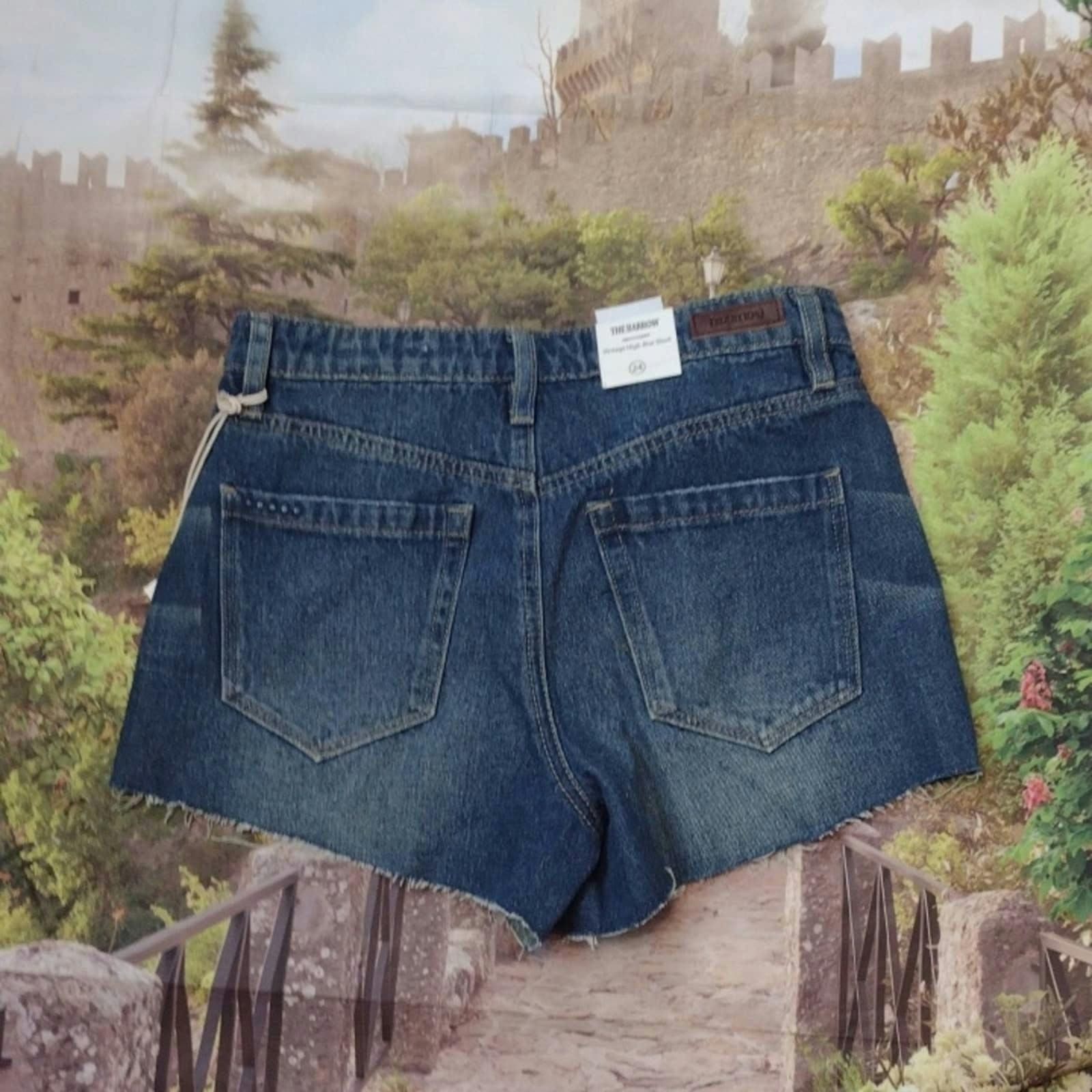BLANKNYC Blanknyc the barrow vintage high rise shorts size 24 Size 28" / US 6 / IT 42 - 5 Thumbnail