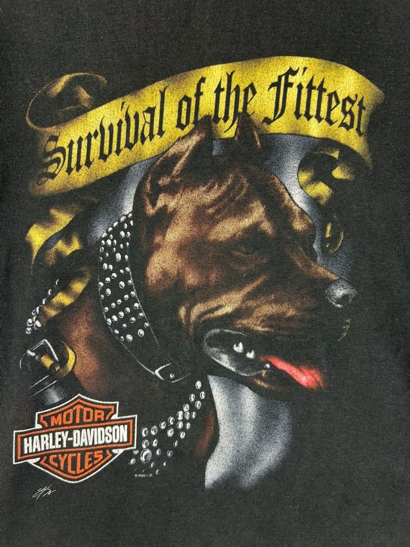 Harley Davidson Vintage Harley Davidson Pitbull Graphic T-Shirt Size US L / EU 52-54 / 3 - 6 Thumbnail