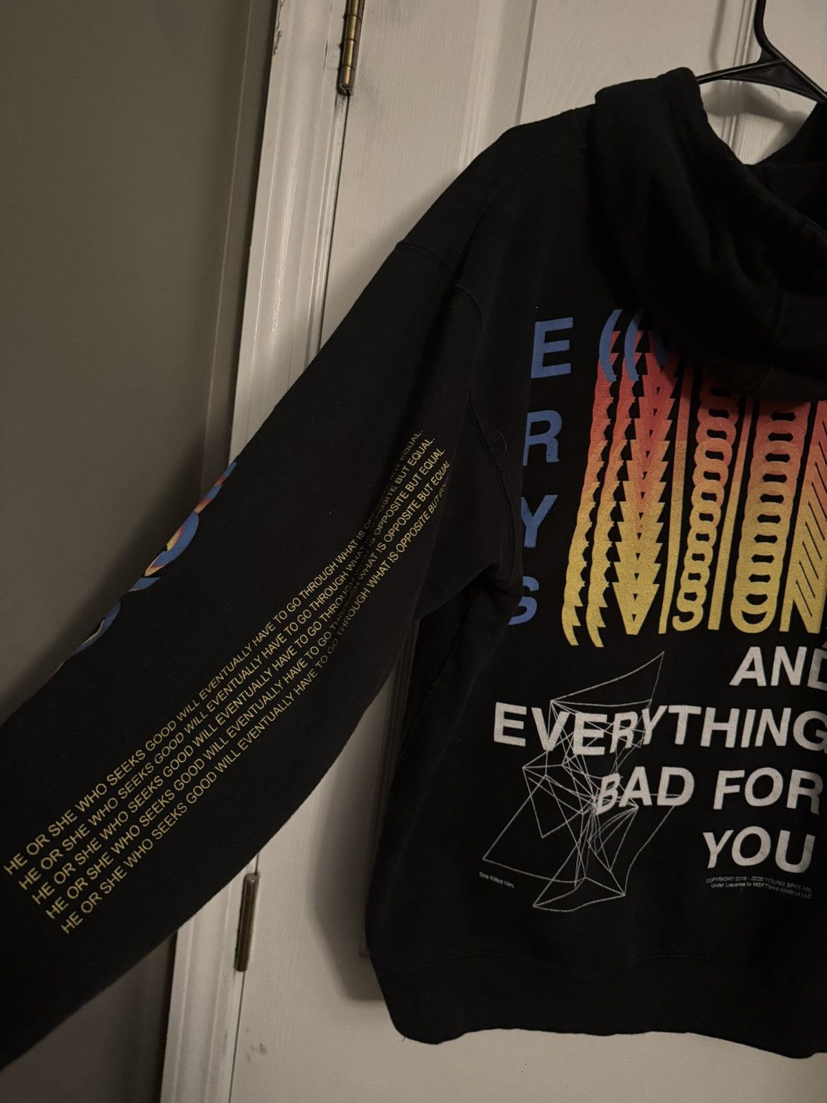 Jaden Smith × Msftsrep ERYS JADEN SMITH HOODIE Size US L / EU 52-54 / 3 - 2 Thumbnail