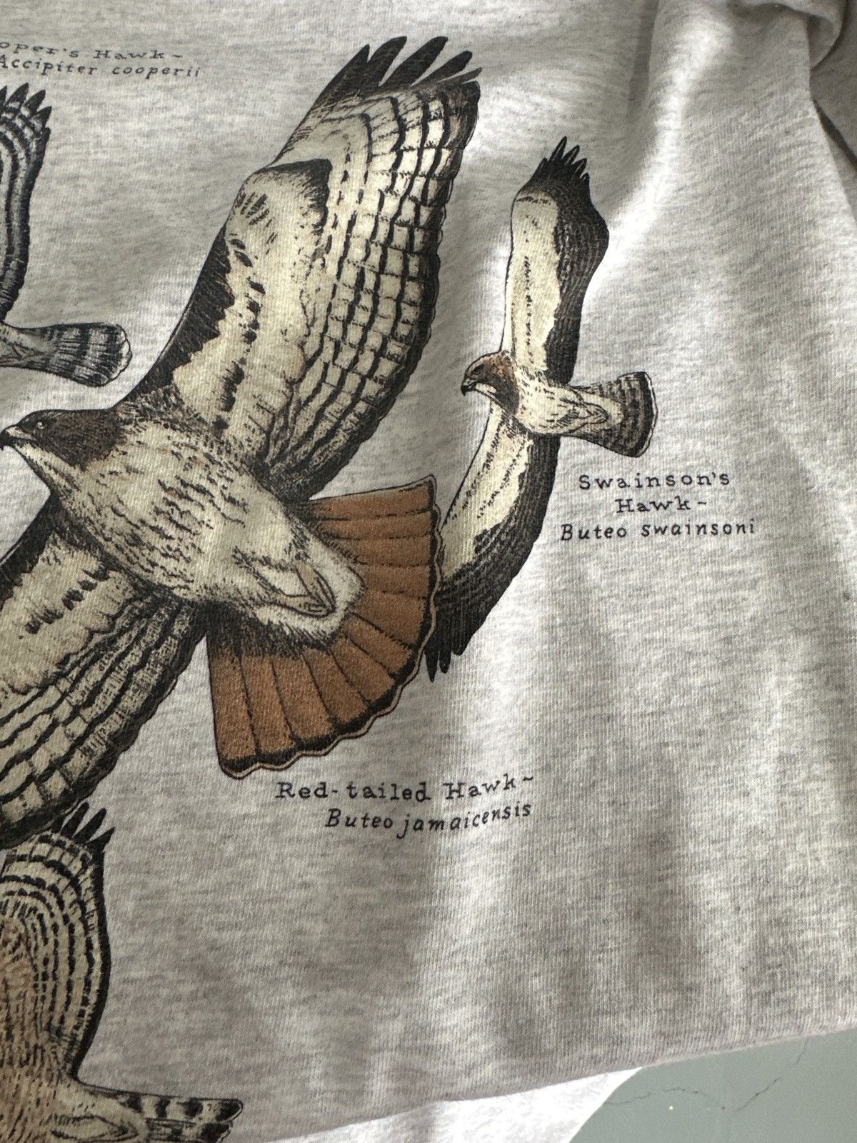 Vintage VINTAGE HAWKS HARBORSIDE TEE Size US M / EU 48-50 / 2 - 4 Thumbnail