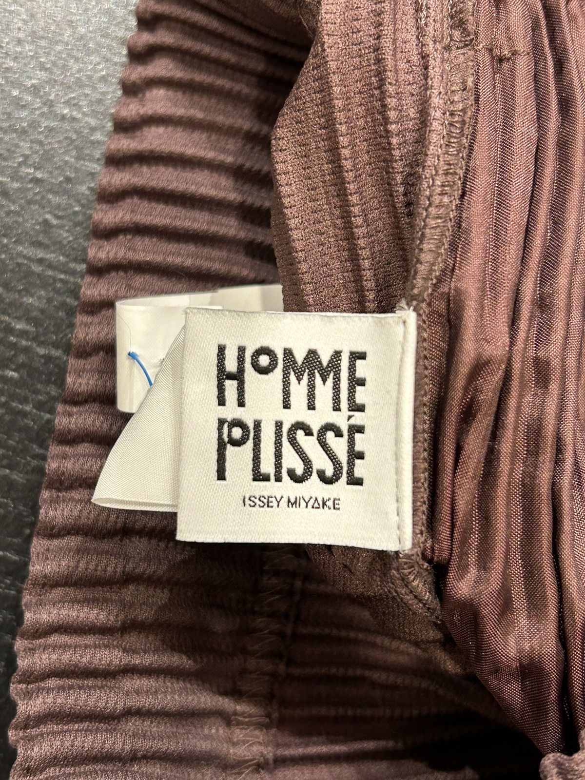 Issey Miyake Issey Miyake Homme Plisse Pants Size US 30 / EU 46 - 3 Thumbnail