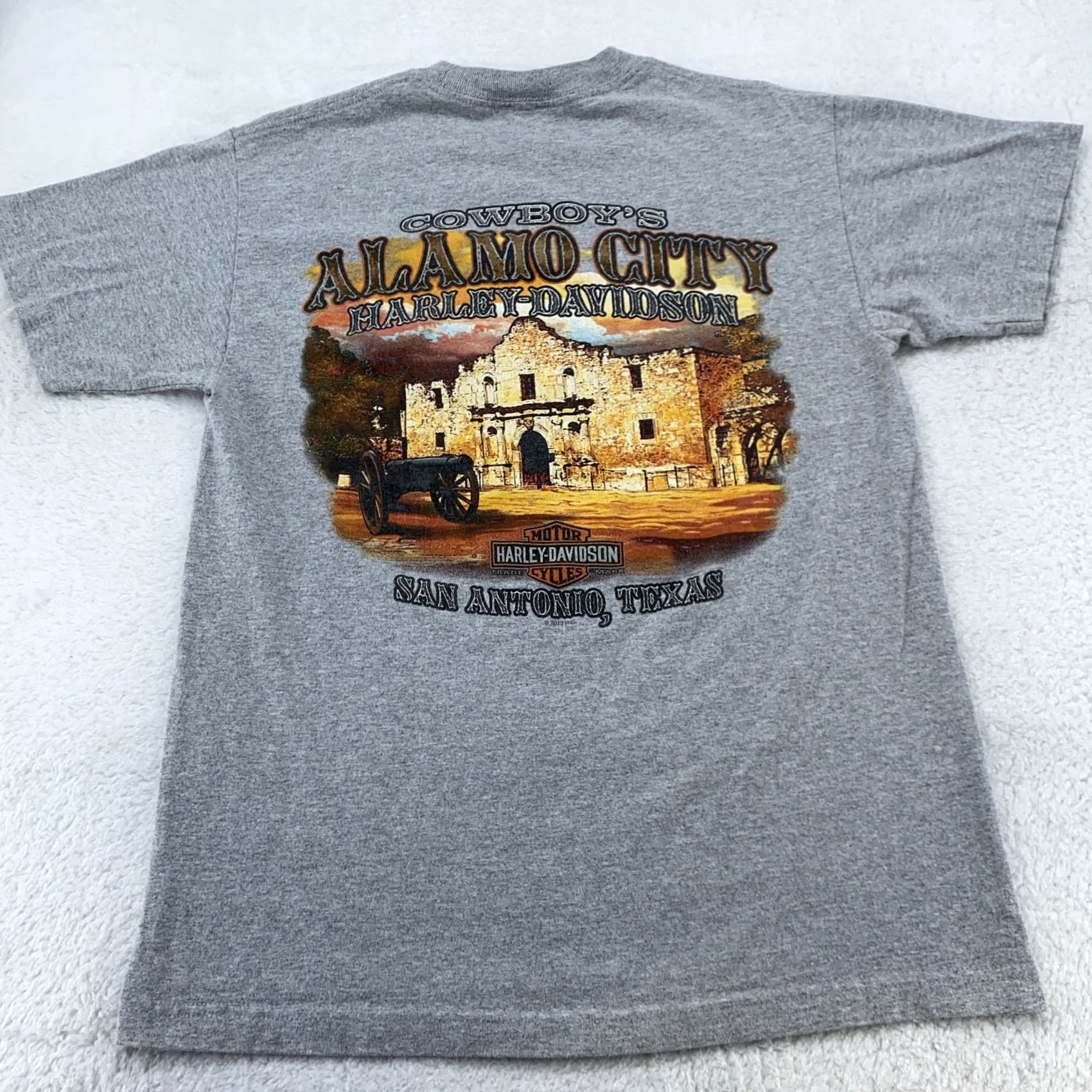 Harley Davidson Harley-Davidson Shirt Mens M Gray Graphic Print City Alamo San Antonio Texas Motorcycle Tee Short Sleeve Crew Neck T-Shirt Lifestyle: Classic Fit Mens Size US M / EU 48-50 / 2 - 4 Thumbnail