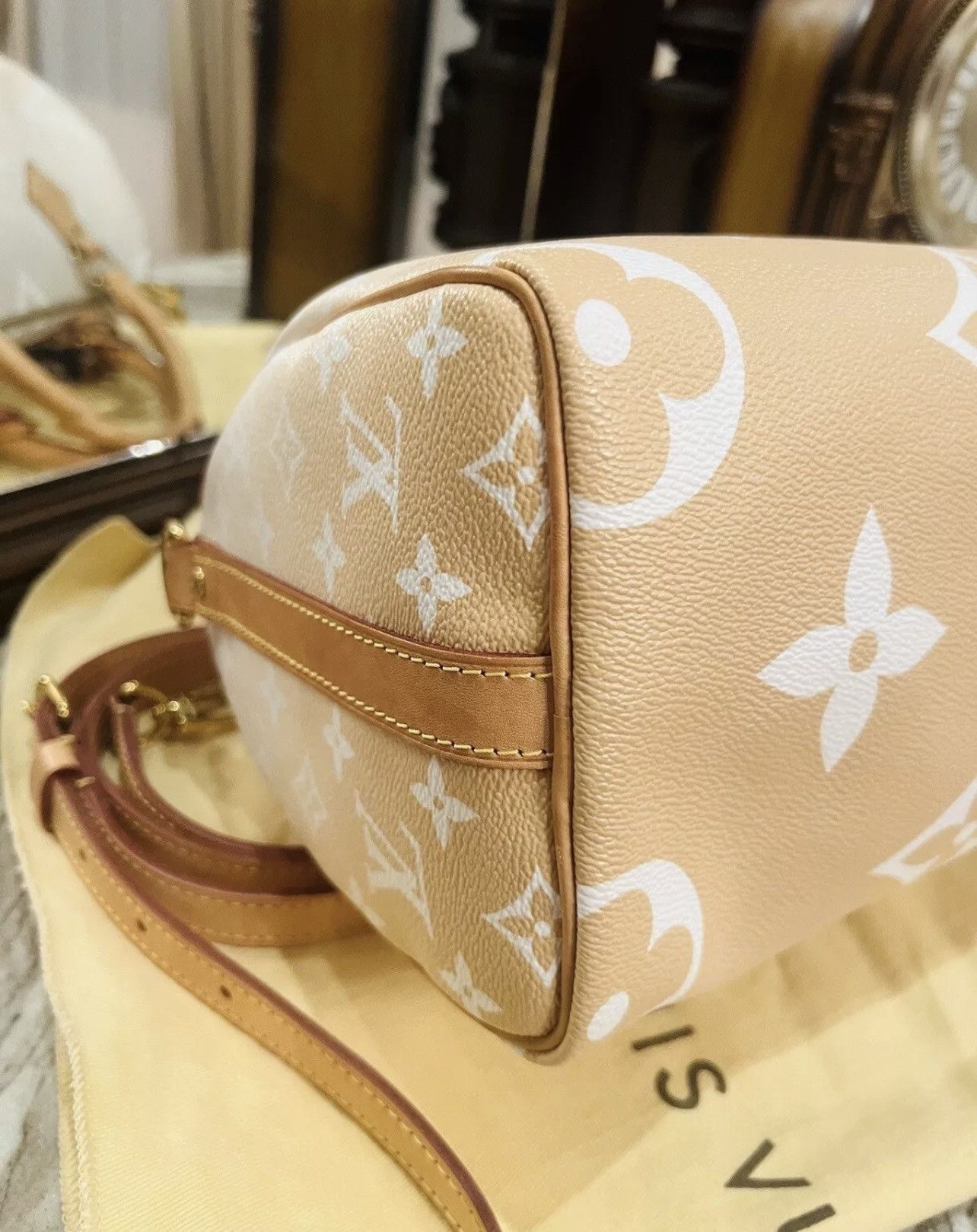Louis Vuitton Louis Vuitton Speedy 25 Bandouliere Summer Giant Size ONE SIZE - 12 Thumbnail