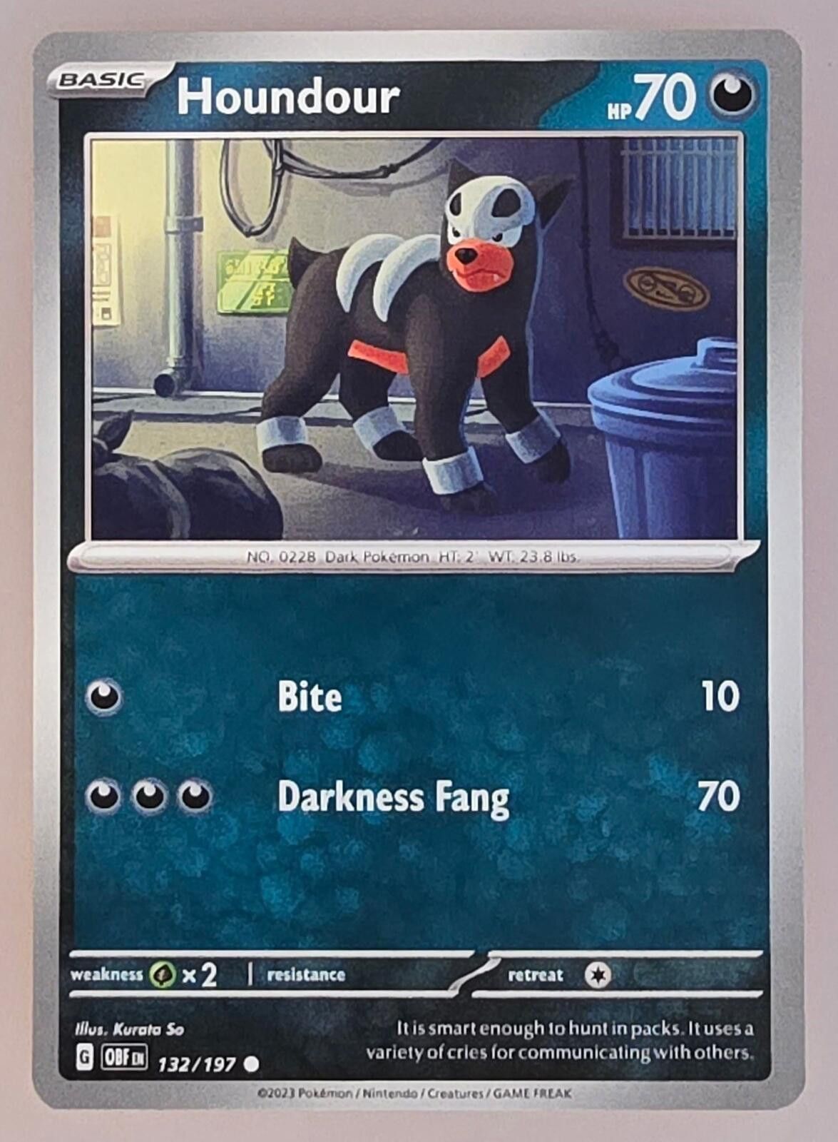 Pokemon Houndour #132/197 Size ONE SIZE - 1 Thumbnail