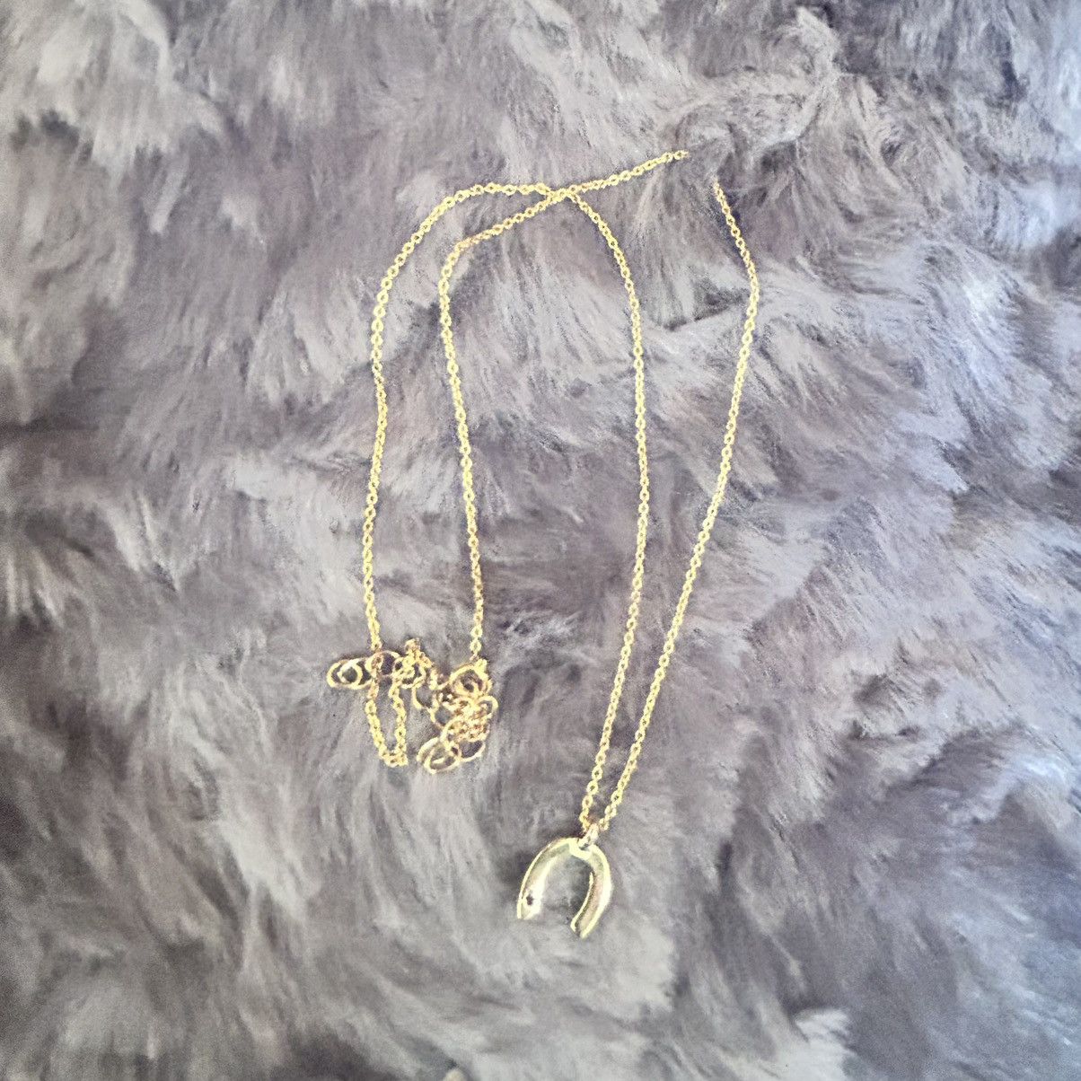 Vintage Vintage lucky horseshoe pendant on chain necklace Size ONE SIZE - 7 Thumbnail
