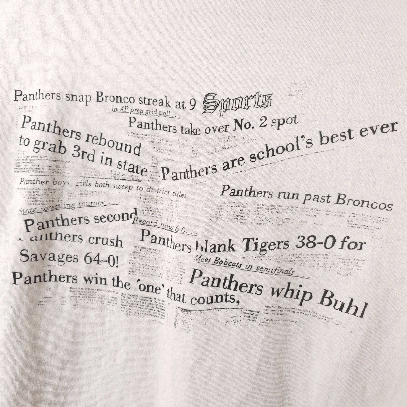 Fruit Of The Loom VINTAGE Snake River Panthers T Shirt Mens 2XL White 90s Made In USA 1981 Fruit of the Loom Mens T-Shirt Shirts Size US XXL / EU 58 / 5 - 5 Thumbnail