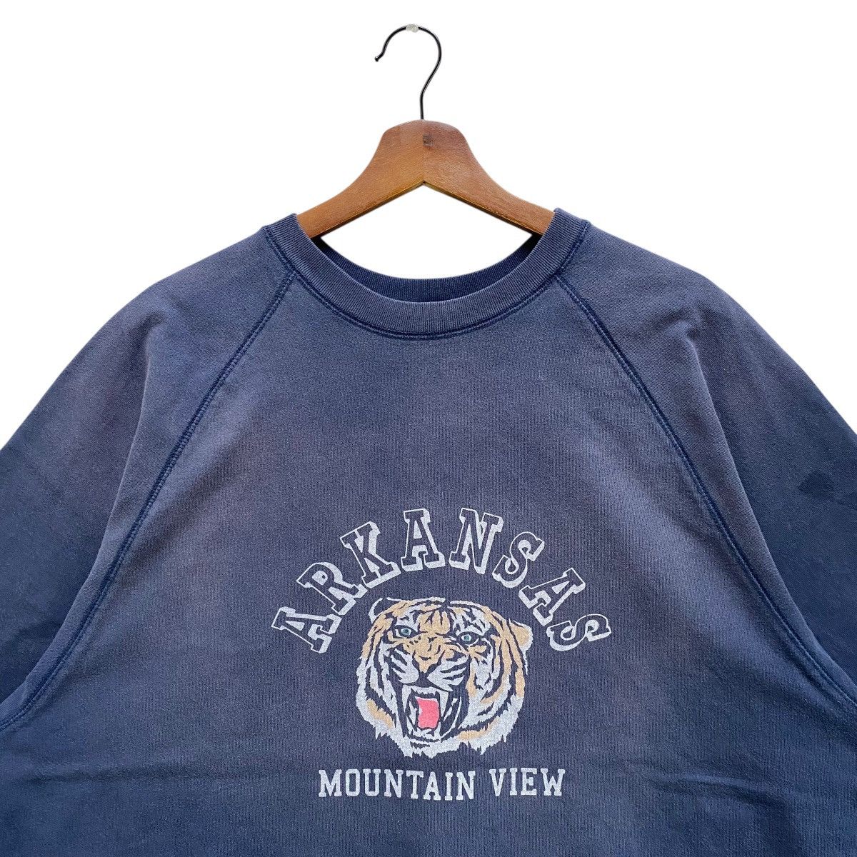 Vintage Vintage Screen Stars Arkansas Mountain View Sweatshirt Size US L / EU 52-54 / 3 - 2 Thumbnail