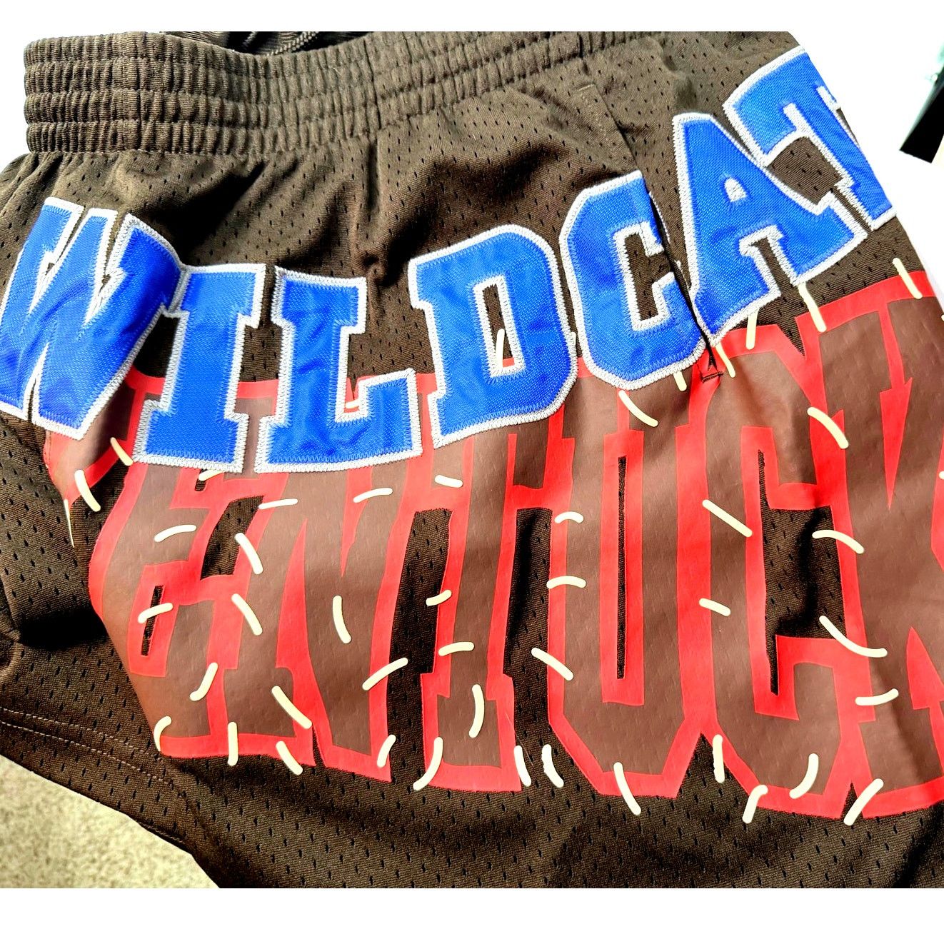 Mitchell & Ness Cactus Jack x Mitchell & Ness Kentucky Shorts M Size US 30 / EU 46 - 8 Thumbnail