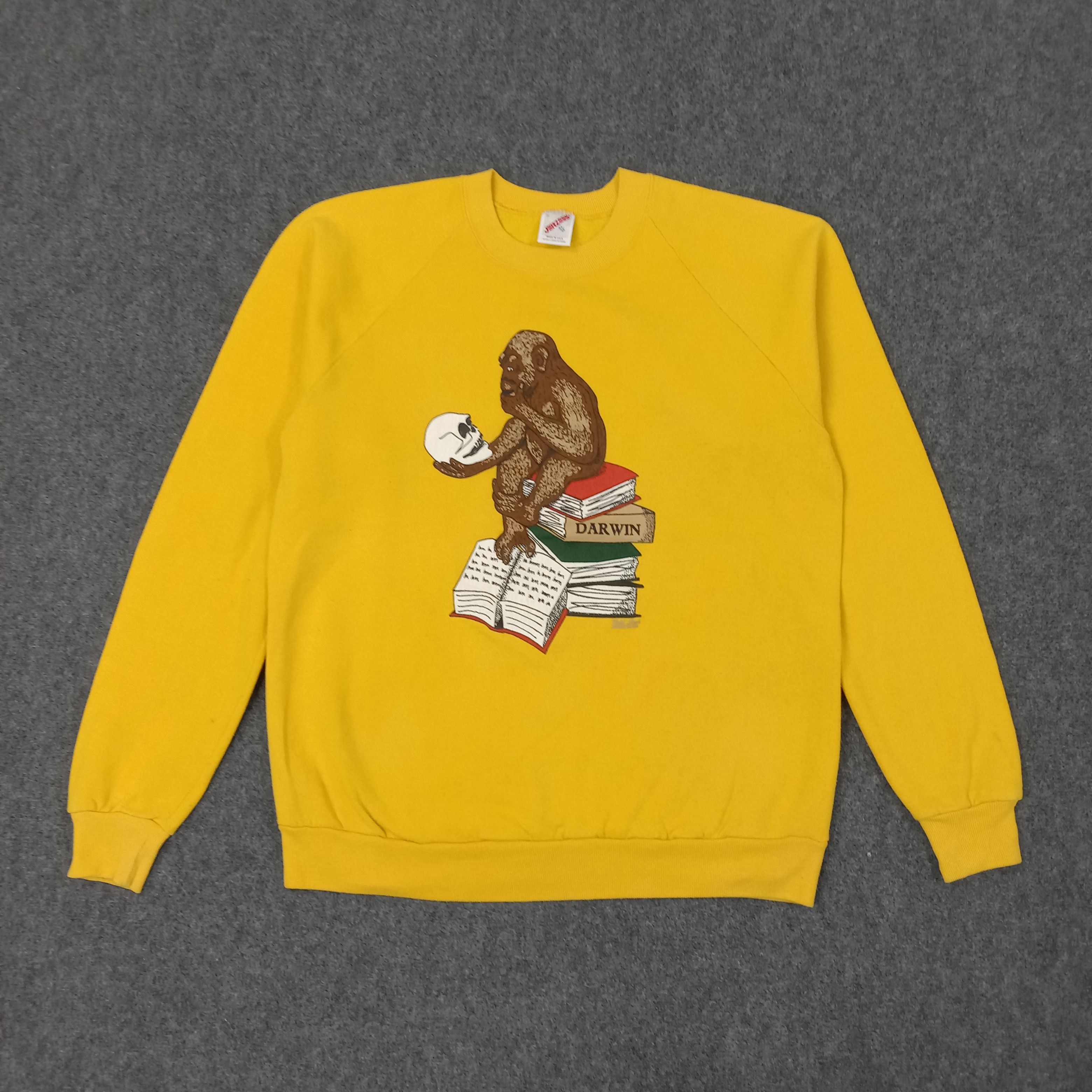 Jerzees Darwin Theory of Biological Evolution Sweatshirt C241N20 Size US M / EU 48-50 / 2 - 1 Thumbnail