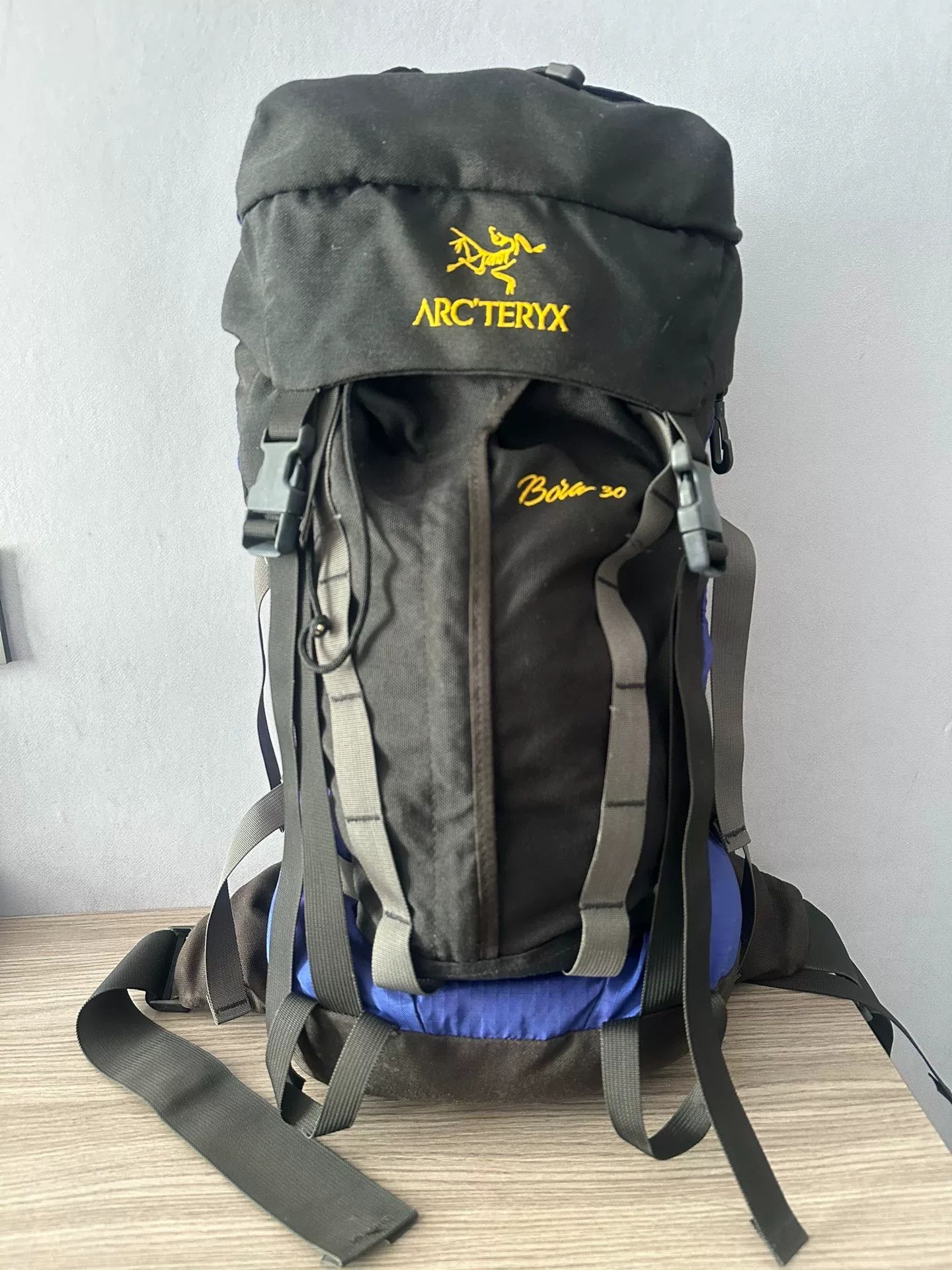 Arc'teryx Arc'teryx First Gen Bora30 Backpack Size ONE SIZE - 1 Thumbnail