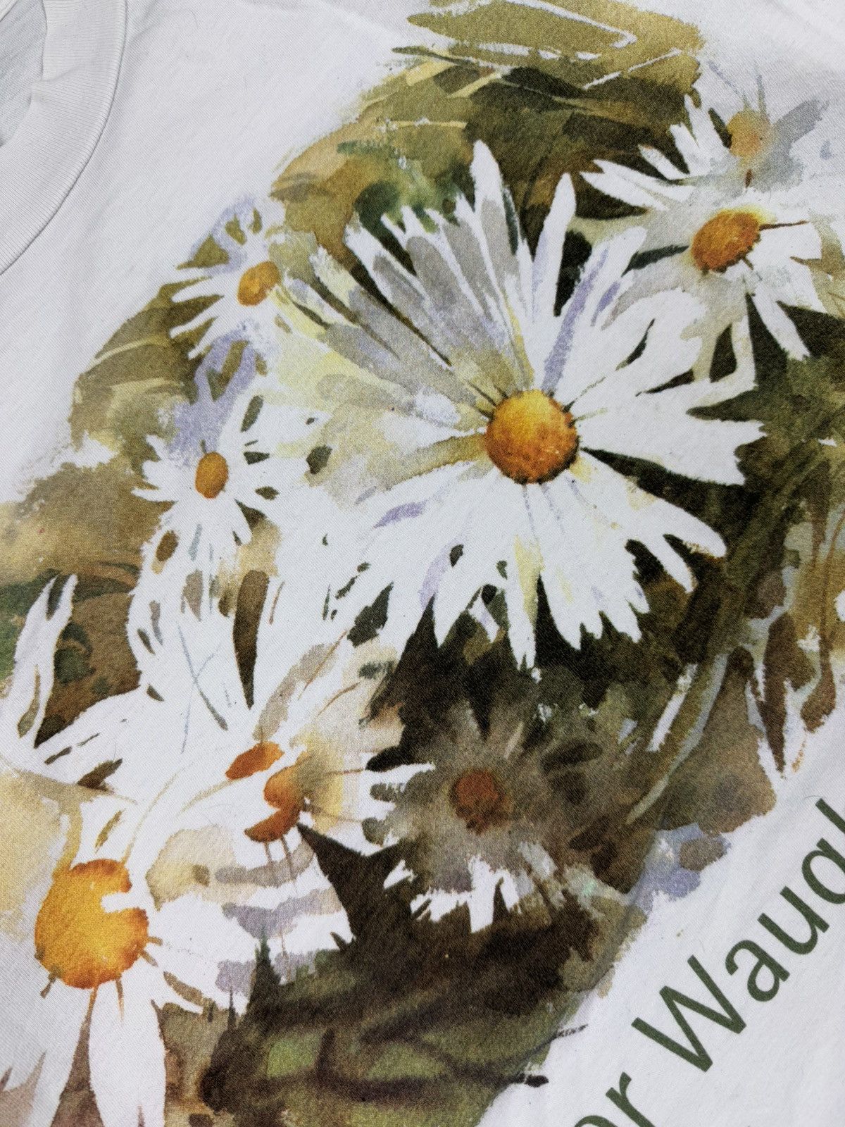 Vintage Vintage 1996 Daisy Cham by Trevor Waugh graphic art tee Size US XL / EU 56 / 4 - 7 Thumbnail