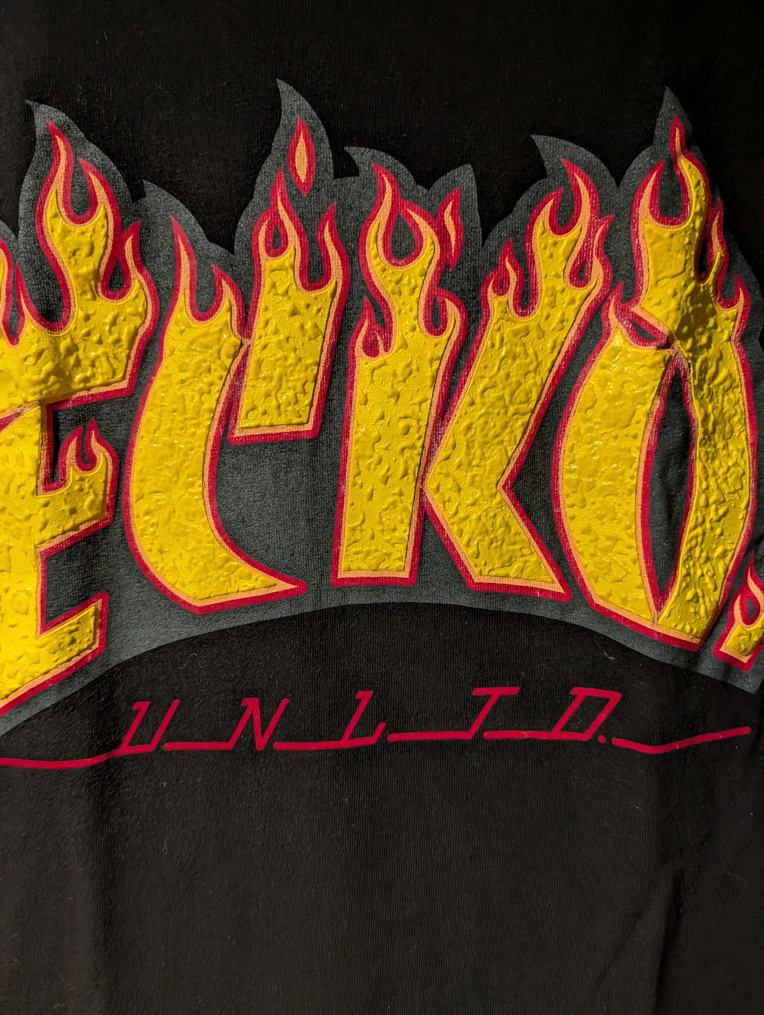 Ecko Unltd. Ecko Unlimited Thrasher Skateboard Logo Flames Large T-Shirt Size US L / EU 52-54 / 3 - 2 Thumbnail