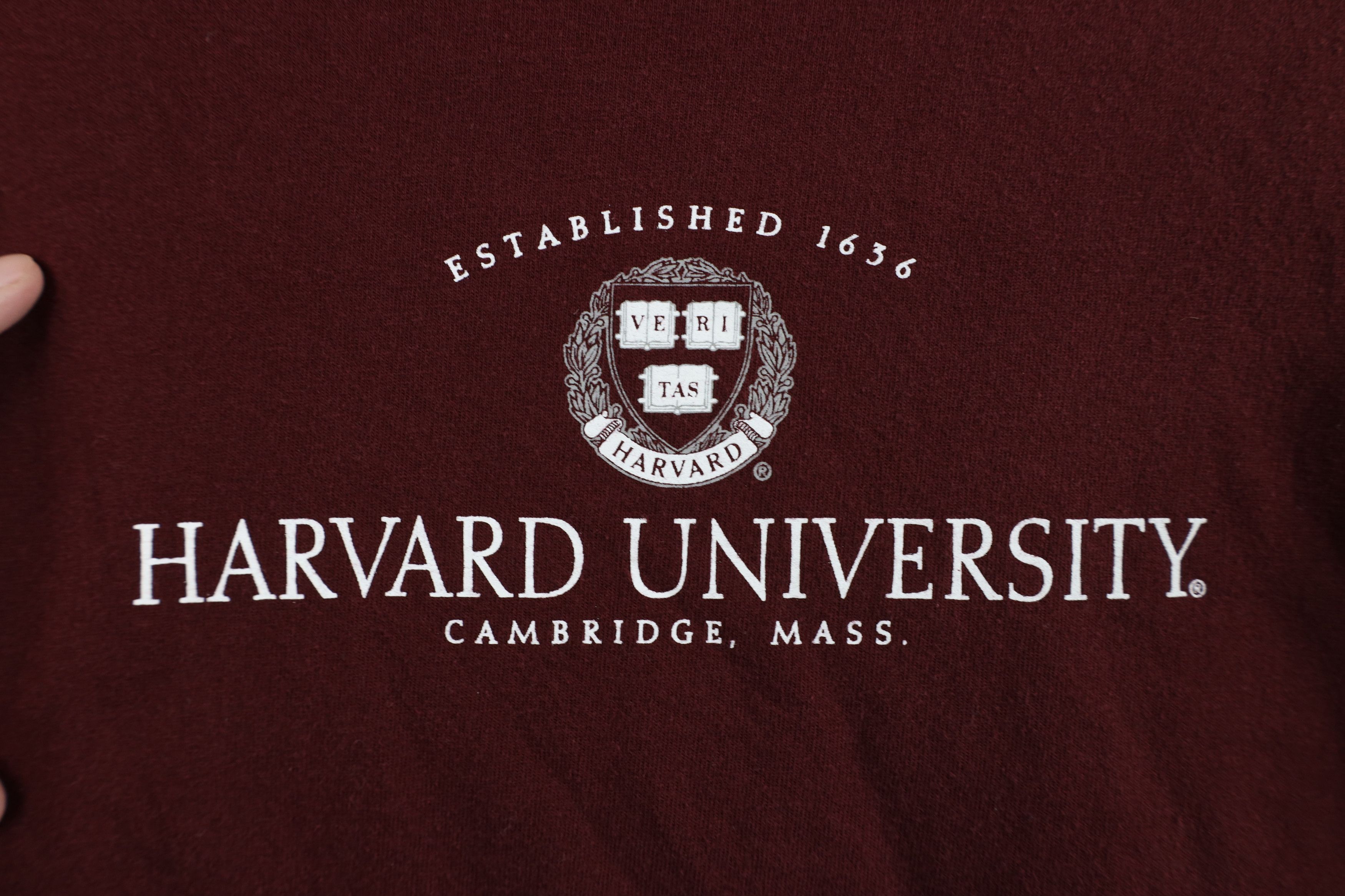 Champion Vintage Champion Spell Out Harvard University T-Shirt Red Size L / US 10 / IT 46 - 4 Thumbnail