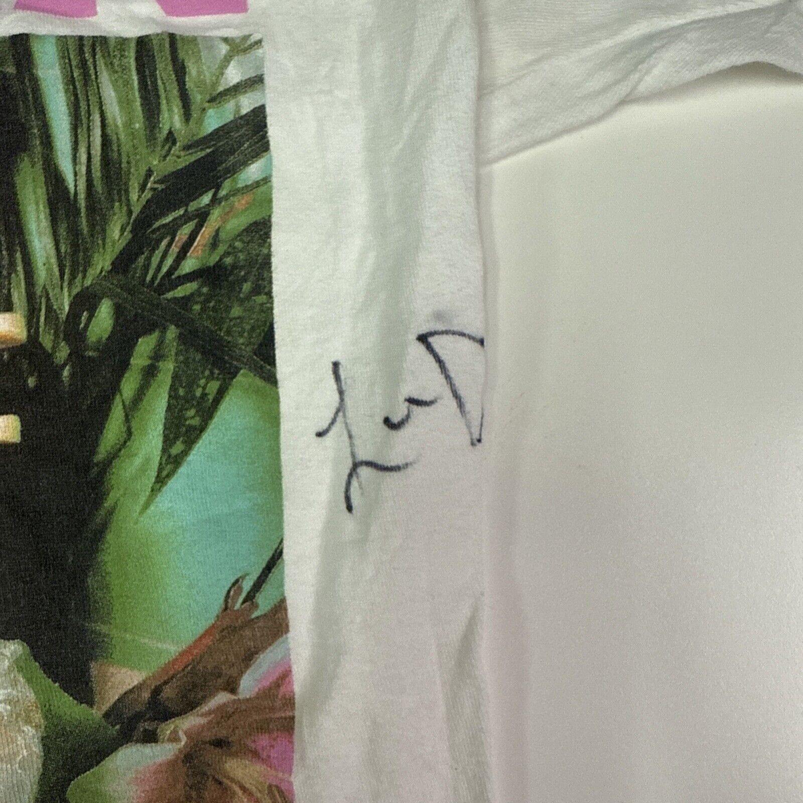 Other Meghan Trainor Charlie Puth Signed T Shirt Size M / US 6-8 / IT 42-44 - 5 Thumbnail