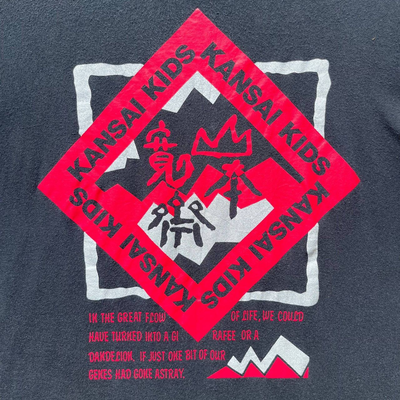 Kansai Yamamoto 🔥Accept Binding Offer🔥 Kansai Kids Size US L / EU 52-54 / 3 - 3 Thumbnail