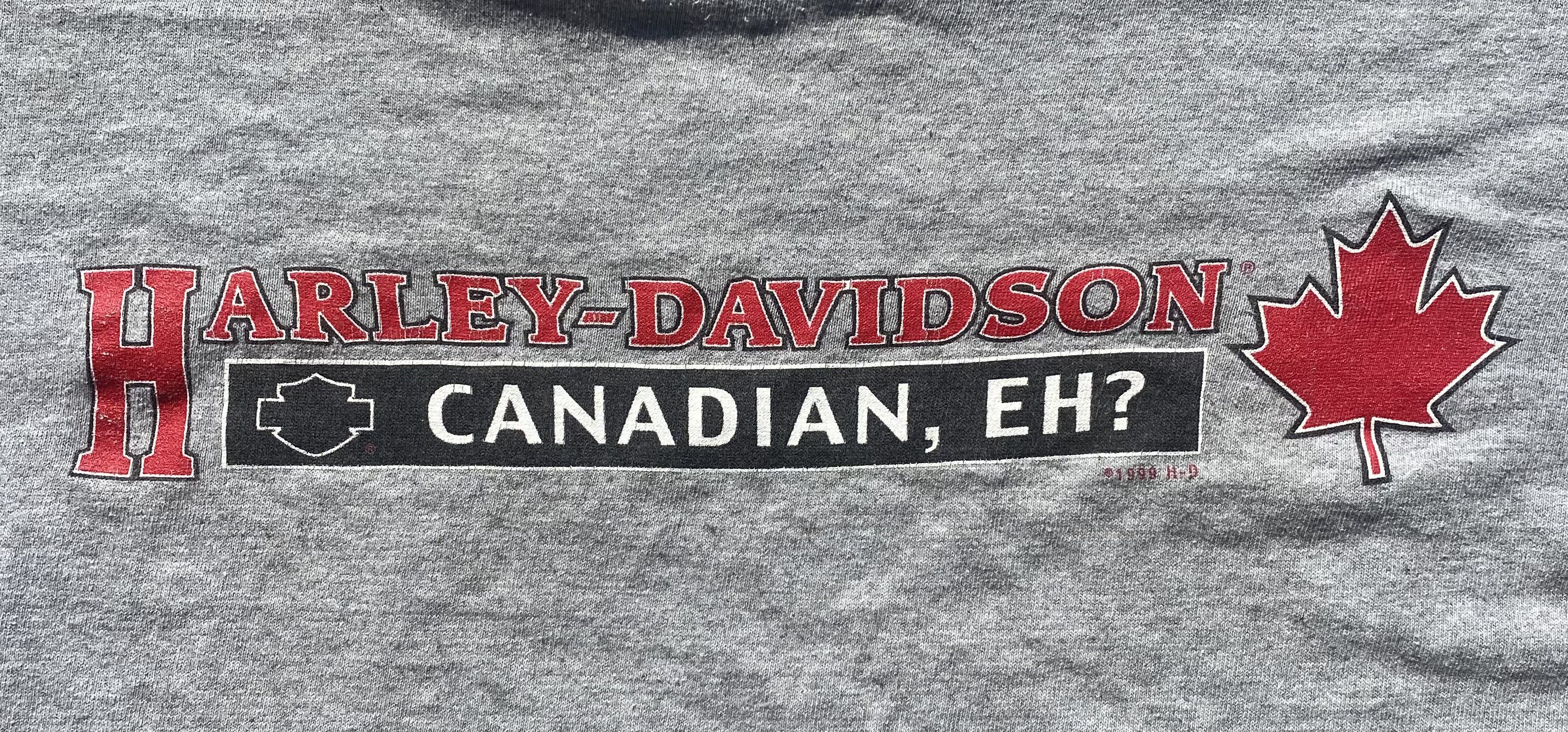 Harley Davidson Harley Davidson grey t-shirt with graphic 1999 vintage Size US L / EU 52-54 / 3 - 3 Thumbnail