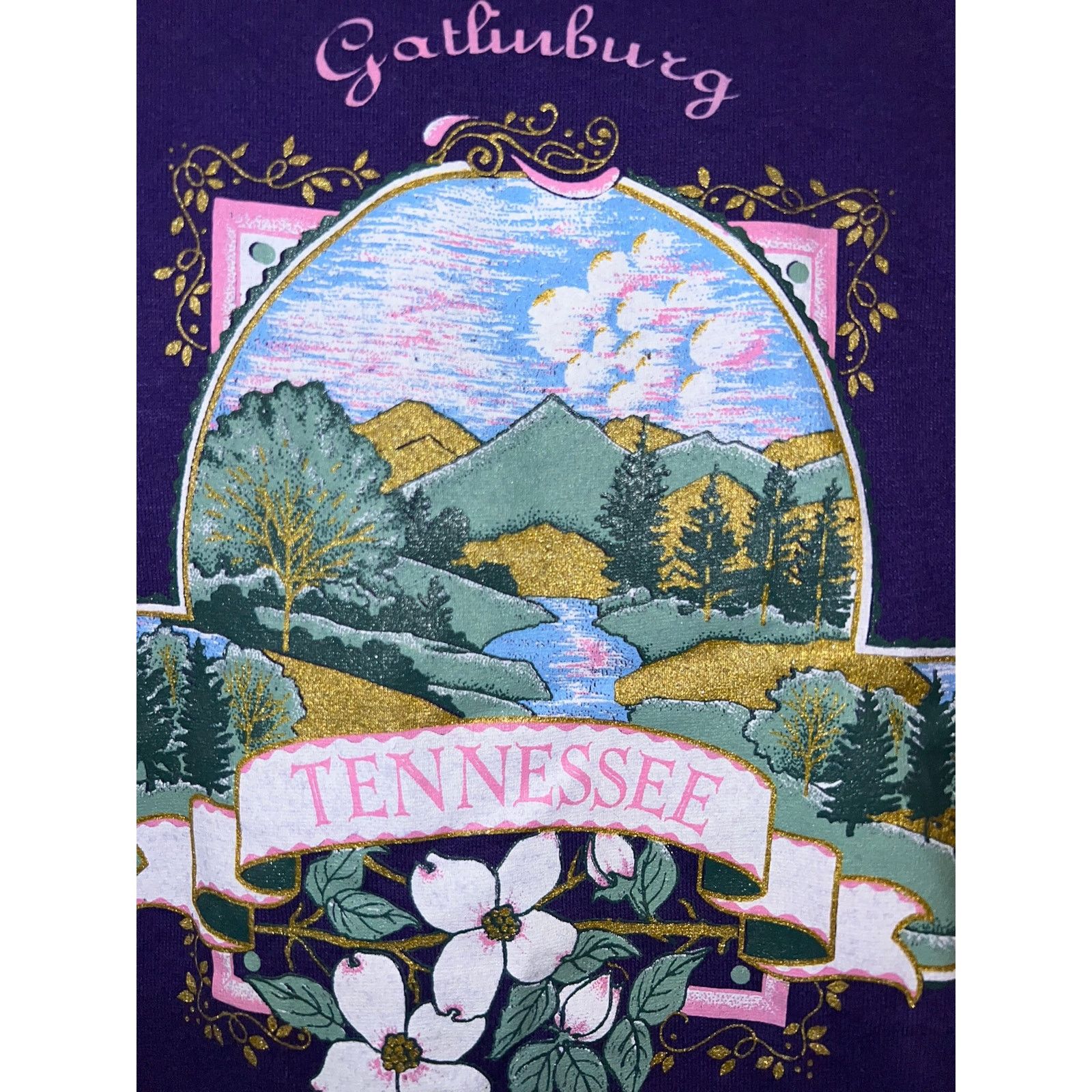 Jerzees Vintage Tennessee Shirt Gatlinburg Purple Graphic Tee 90s S Size US S / EU 44-46 / 1 - 5 Thumbnail