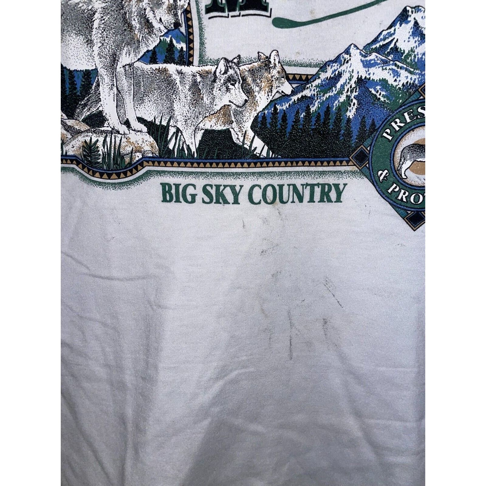 Jerzees Vintage Montana Shirt Big Sky Country Preseve Nature Tee 90s Size US S / EU 44-46 / 1 - 6 Thumbnail