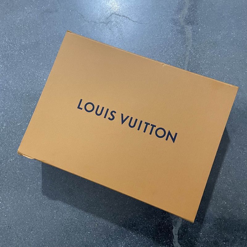 Louis Vuitton Louis Vuitton White Casual Sneakers for Men -2508 Size US 9.5 / IT 39.5 - 4 Thumbnail