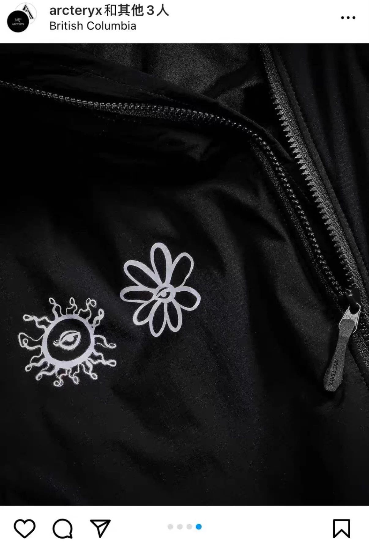 Arc'teryx [In Stock] Arc'teryx ATOM Hoody Logo OutdoorHooded Jacket Size M / US 6-8 / IT 42-44 - 4 Thumbnail