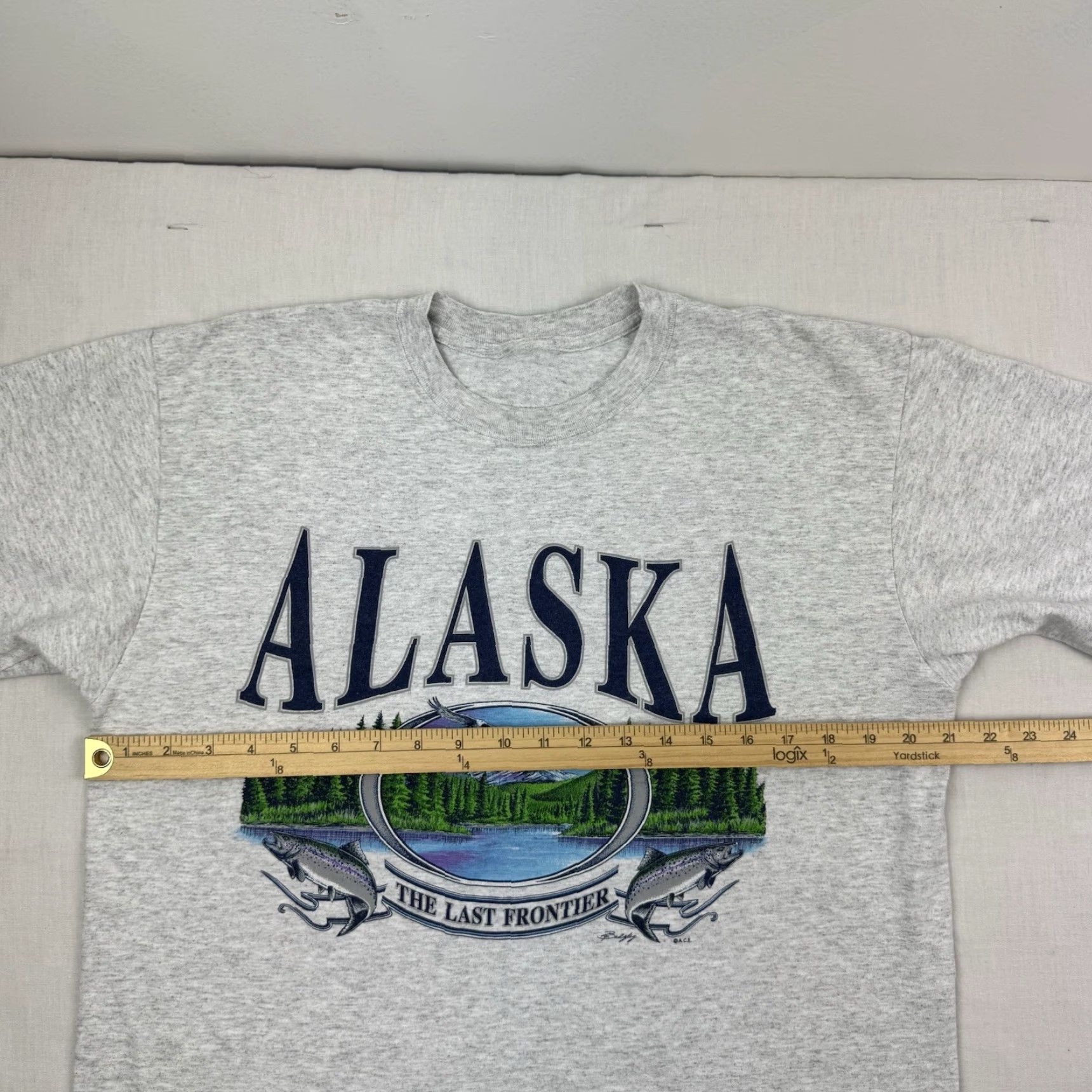 Vintage VINTAGE Alaska T-Shirt Men Adult Large Gray Nature Animals Y2K Eagle Forest 90s Concert? (remove questionable) Size US L / EU 52-54 / 3 - 6 Thumbnail