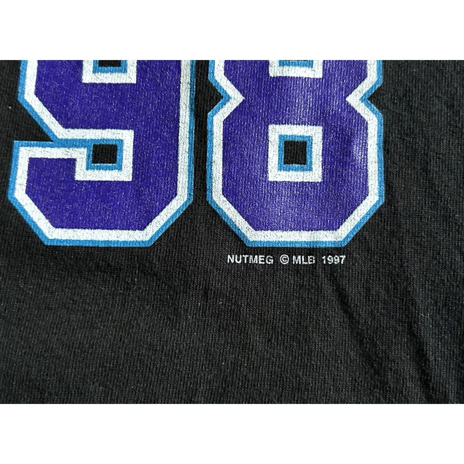 Lee VINTAGE Tampa Bay Devil Rays Inaugural Season T Shirt Men’s Size L Lee Sport Black Cotton Blend Graphic Print US Sports 1990-1999 Mens Size US L / EU 52-54 / 3 - 7 Thumbnail