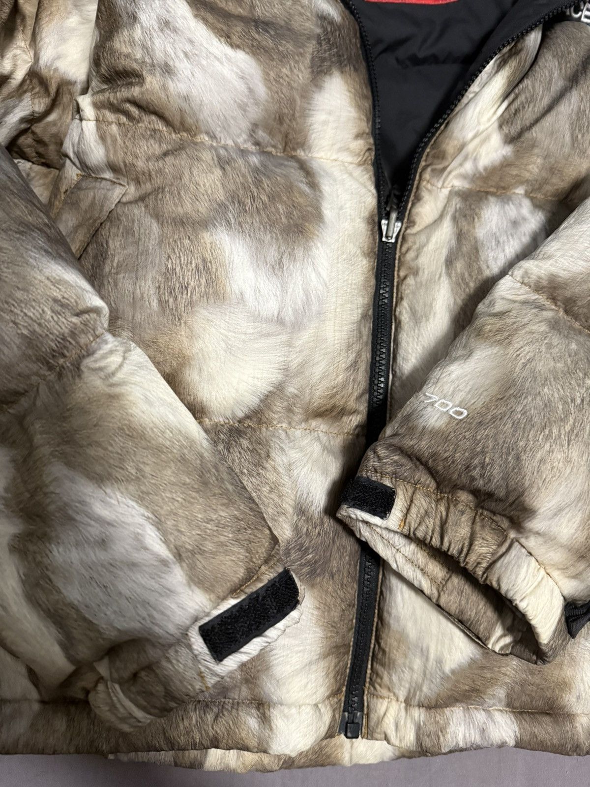 The North Face Supreme tnf North face Fur print nuptse jacket Size US M / EU 48-50 / 2 - 5 Thumbnail