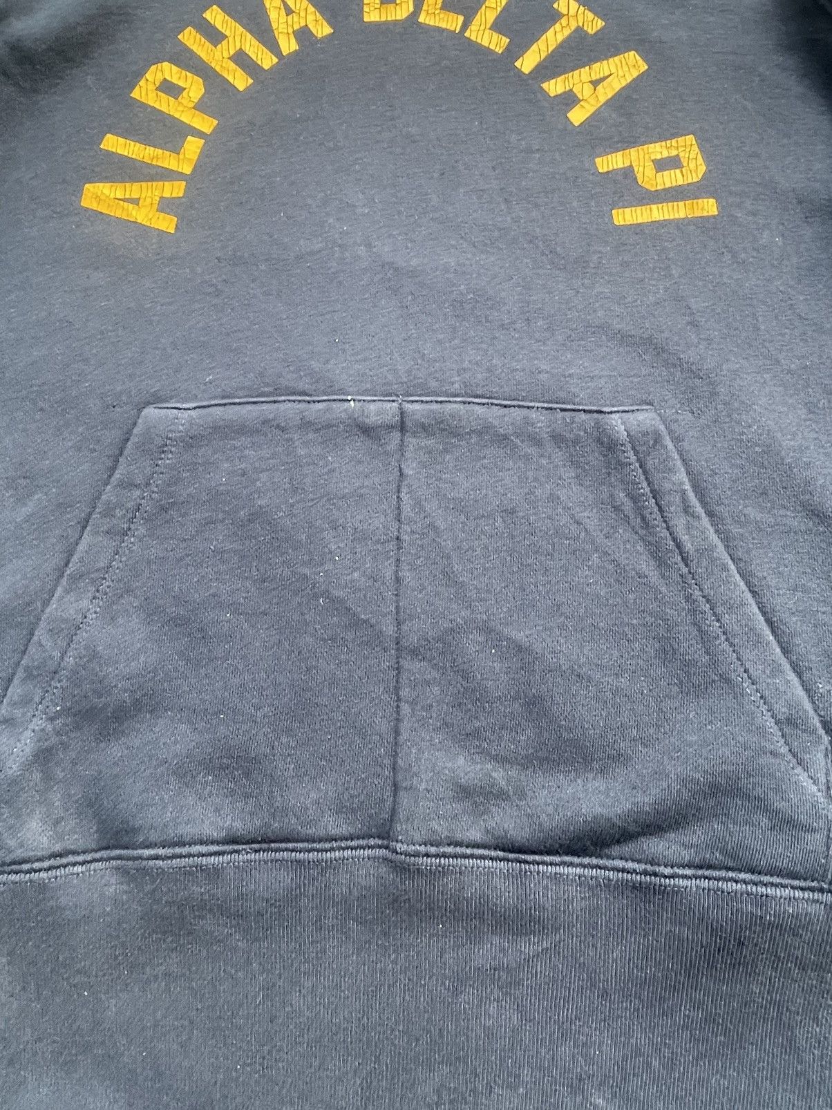 Champion Champion Alpha Delta Pi Hoodie Size US M / EU 48-50 / 2 - 14 Thumbnail
