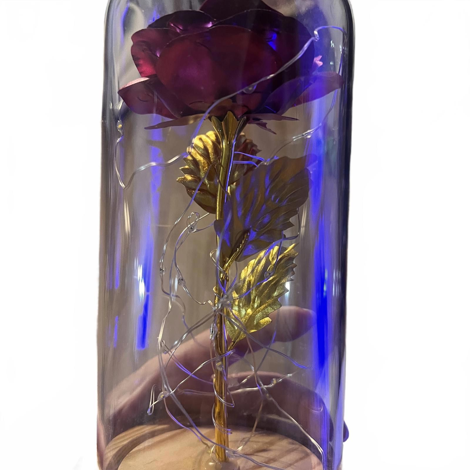 Other Artificial Rose in Glass Dome with Wooden Base with Lights Size ONE SIZE - 1 Thumbnail