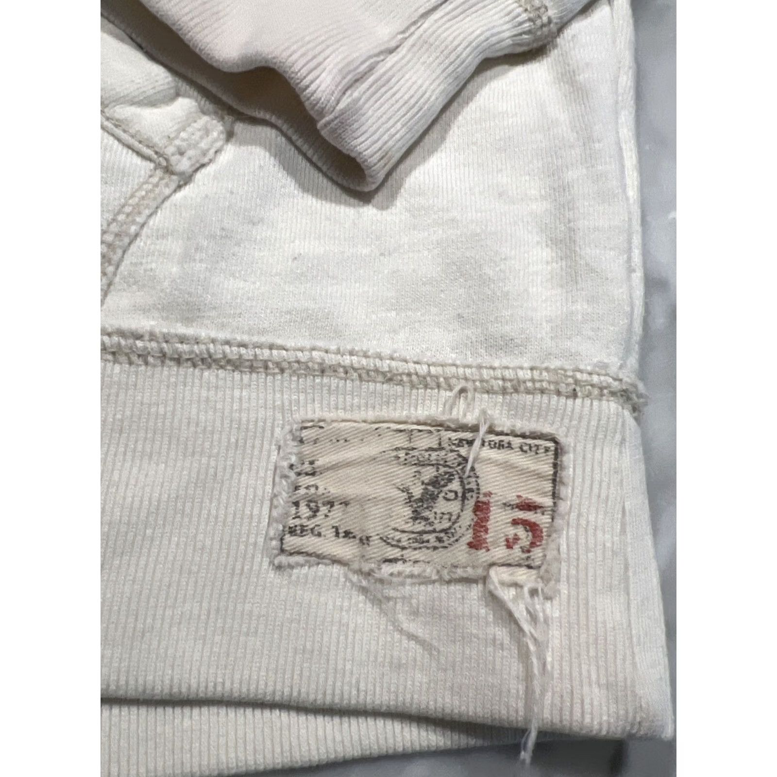 American Eagle Outfitters American Eagle Outfitters Hoodie Mens Large Eagle On Hood Graphic Print Pullover Beige Size US L / EU 52-54 / 3 - 4 Thumbnail