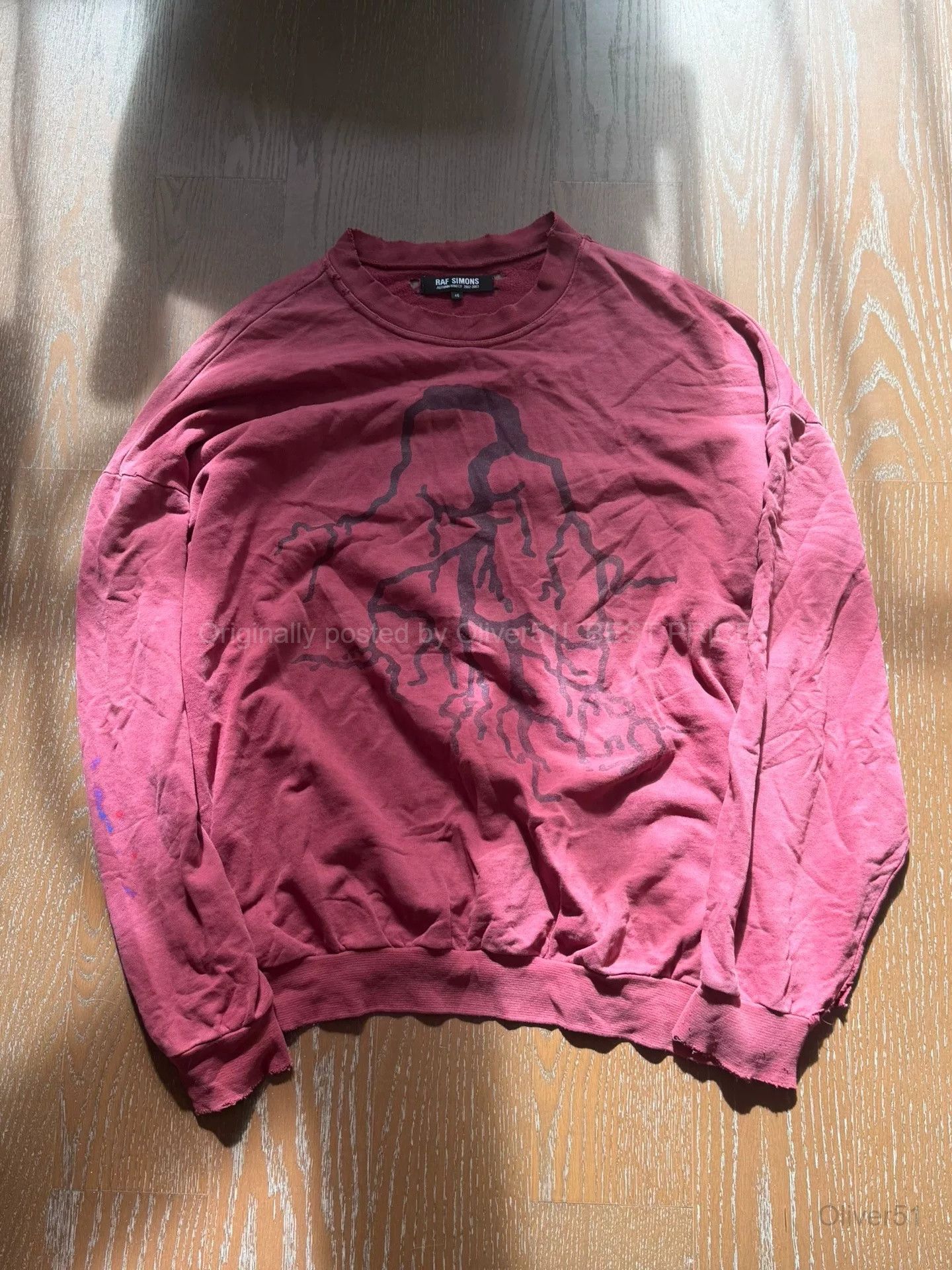 Raf Simons FW02 Virginia Creeper sweatshirt | Grailed